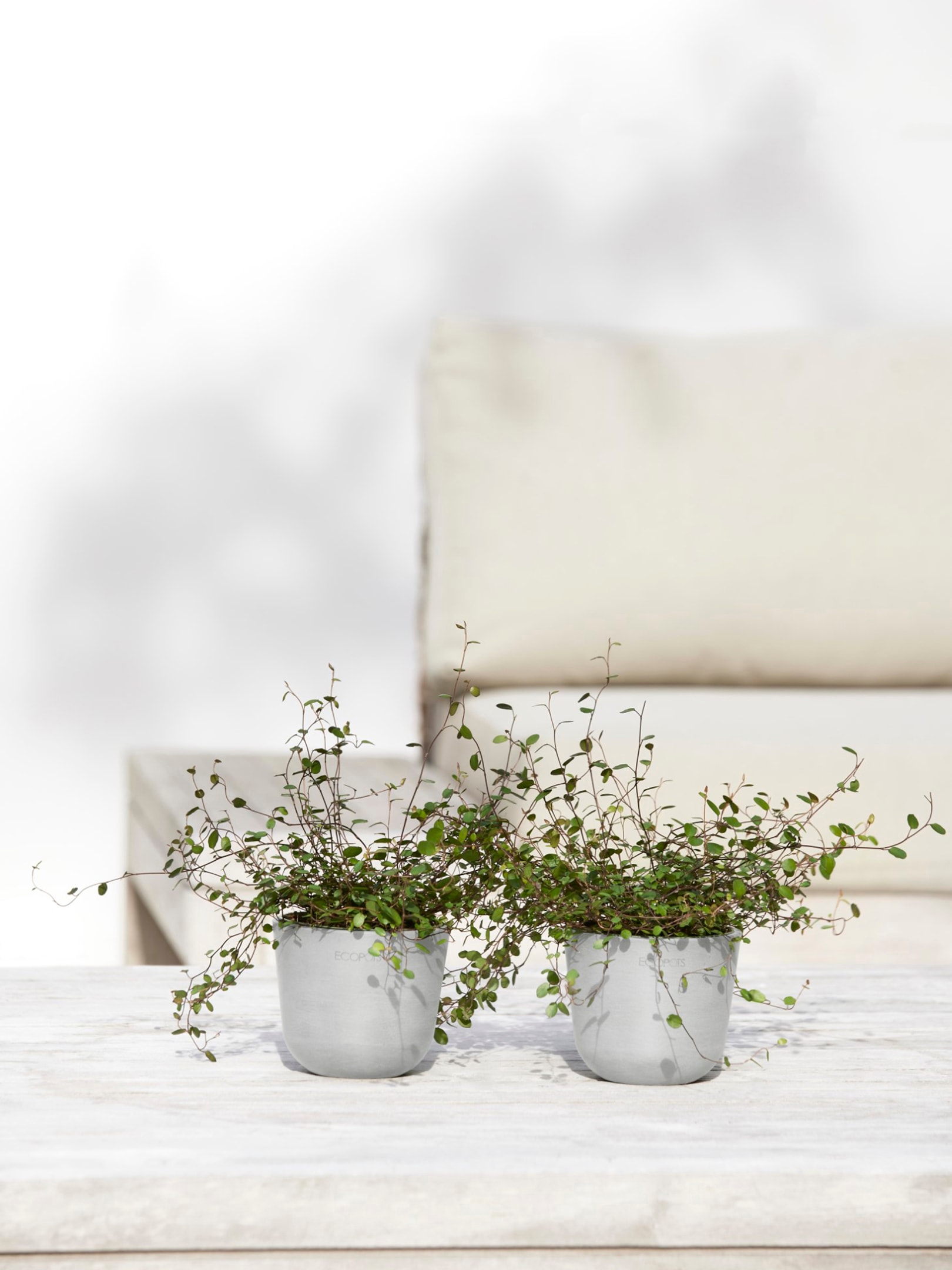 ECOPOTS Blumentopf »Oslo Mini 11,5 Weißgrau«, für den Innenbereich