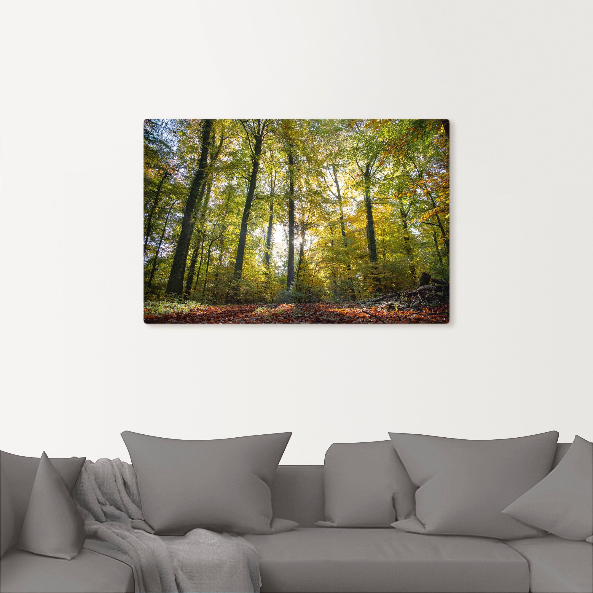 Artland Leinwandbild »Laubwald zum Herbst« Waldbilder 1 Stk. tlg. auf Keilr günstig online kaufen