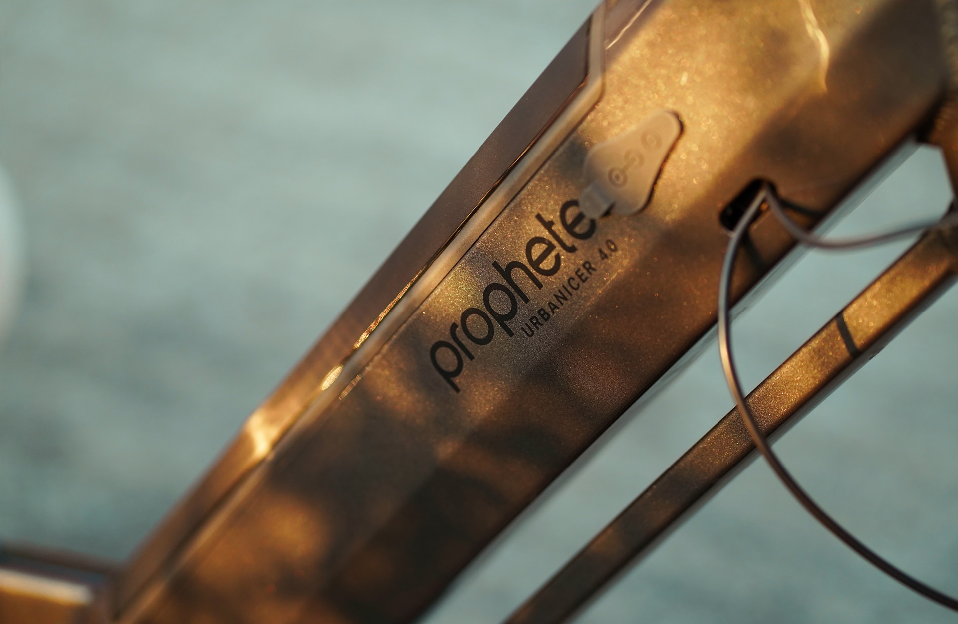 Prophete »Urbanicer 4.0« 9 Gang Shimano Cues Schaltwerk Kettenschaltung Mittelmotor 250 W Pedelec, Elektrofahrrad für Damen und Herren