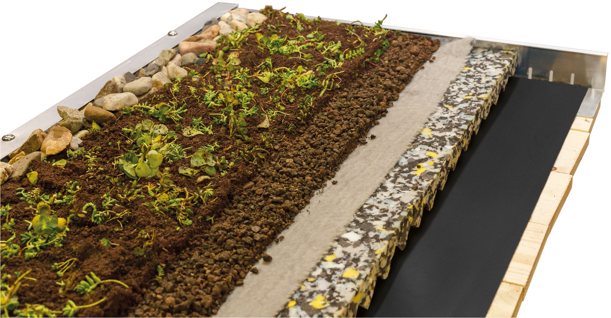 Skanholz Pflanzeinsatz »Dachbegrünung« für Carport Emsland/Wendland