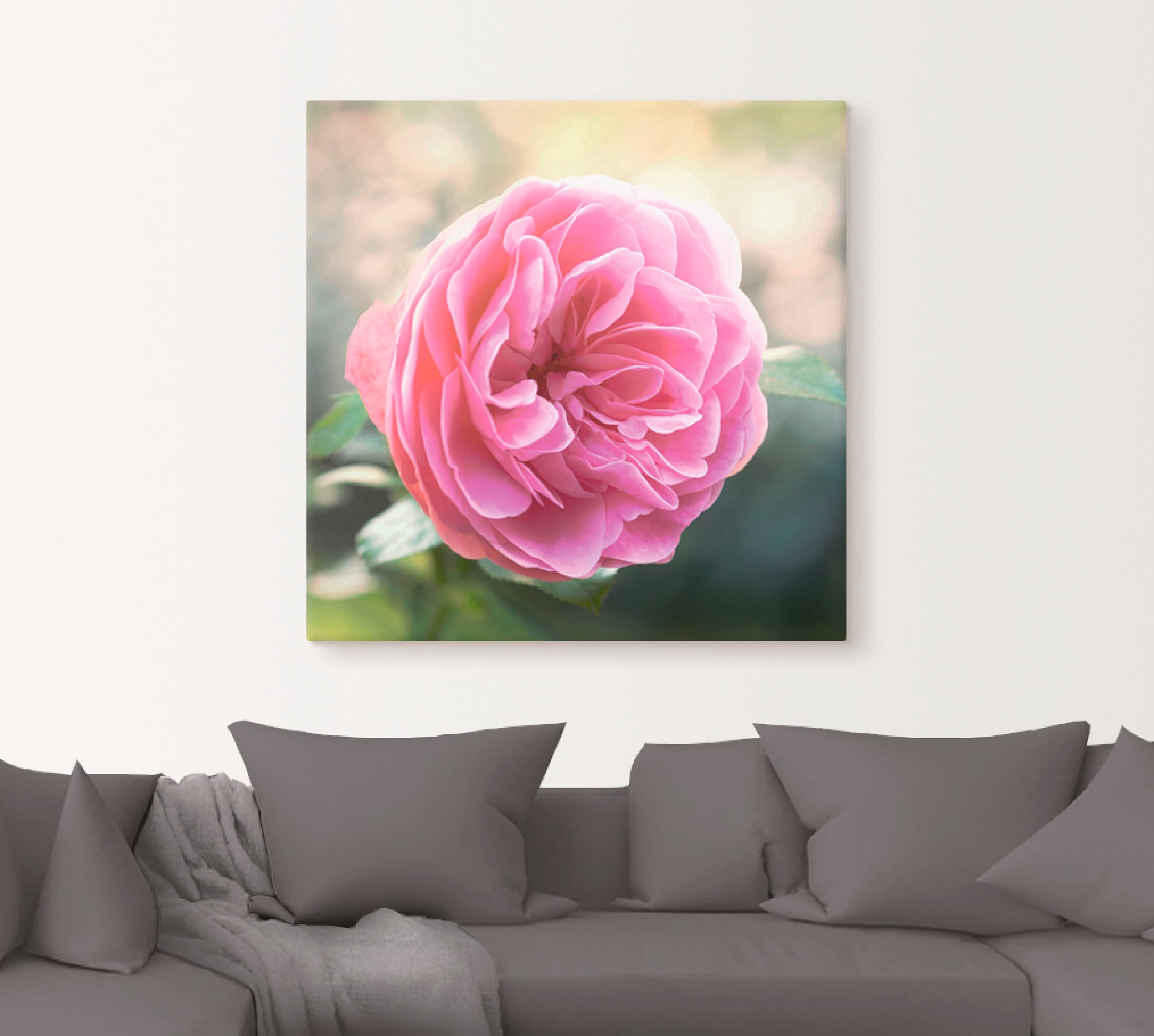 Artland Wandbild »Rosa Rose im Gegenlicht«, Blumen, (1 St.), als Leinwandbi günstig online kaufen