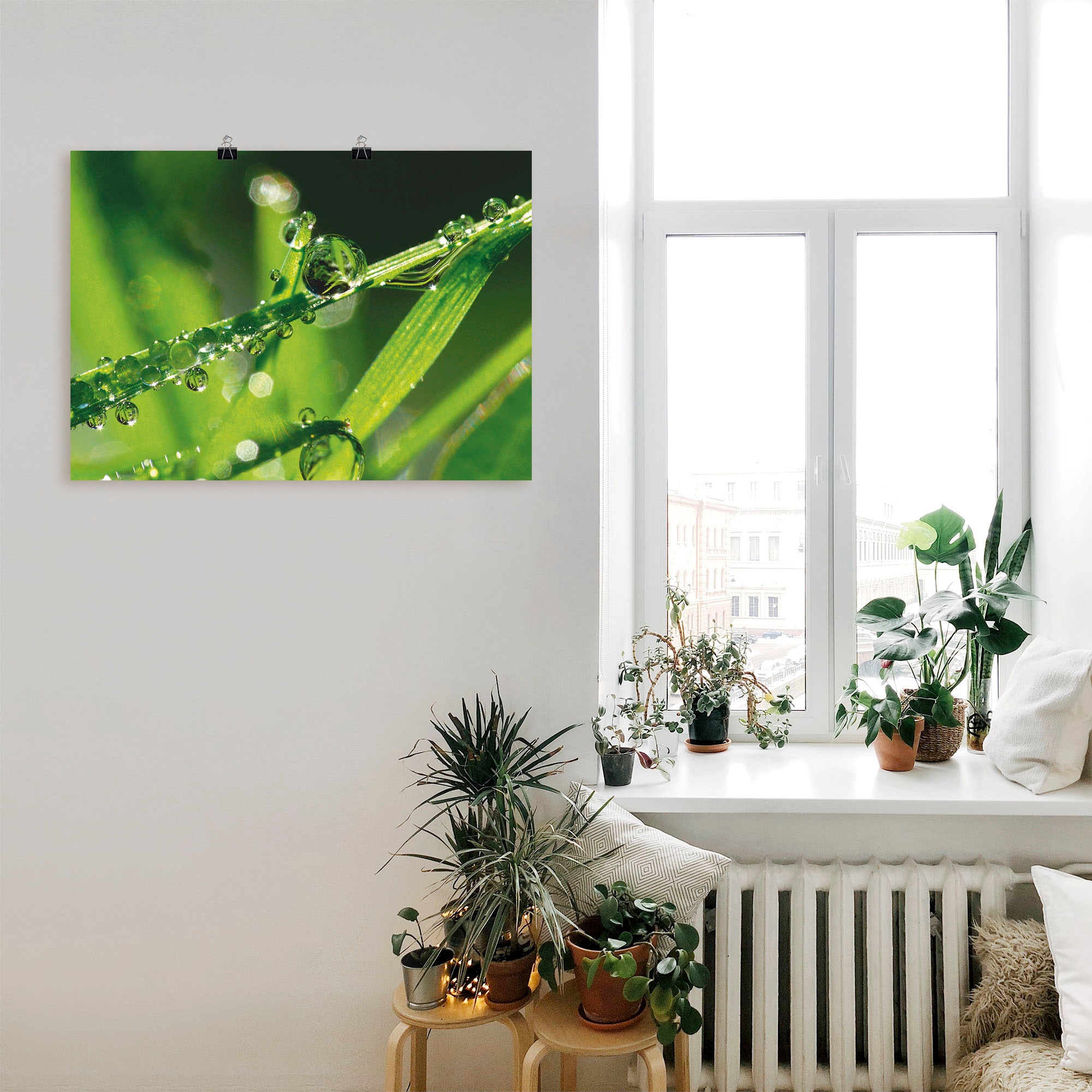 Artland Poster »Wassertropfen auf Gras«, Gräser, (1 St.), als Leinwandbild, Wandaufkleber oder Poster in versch. Größen