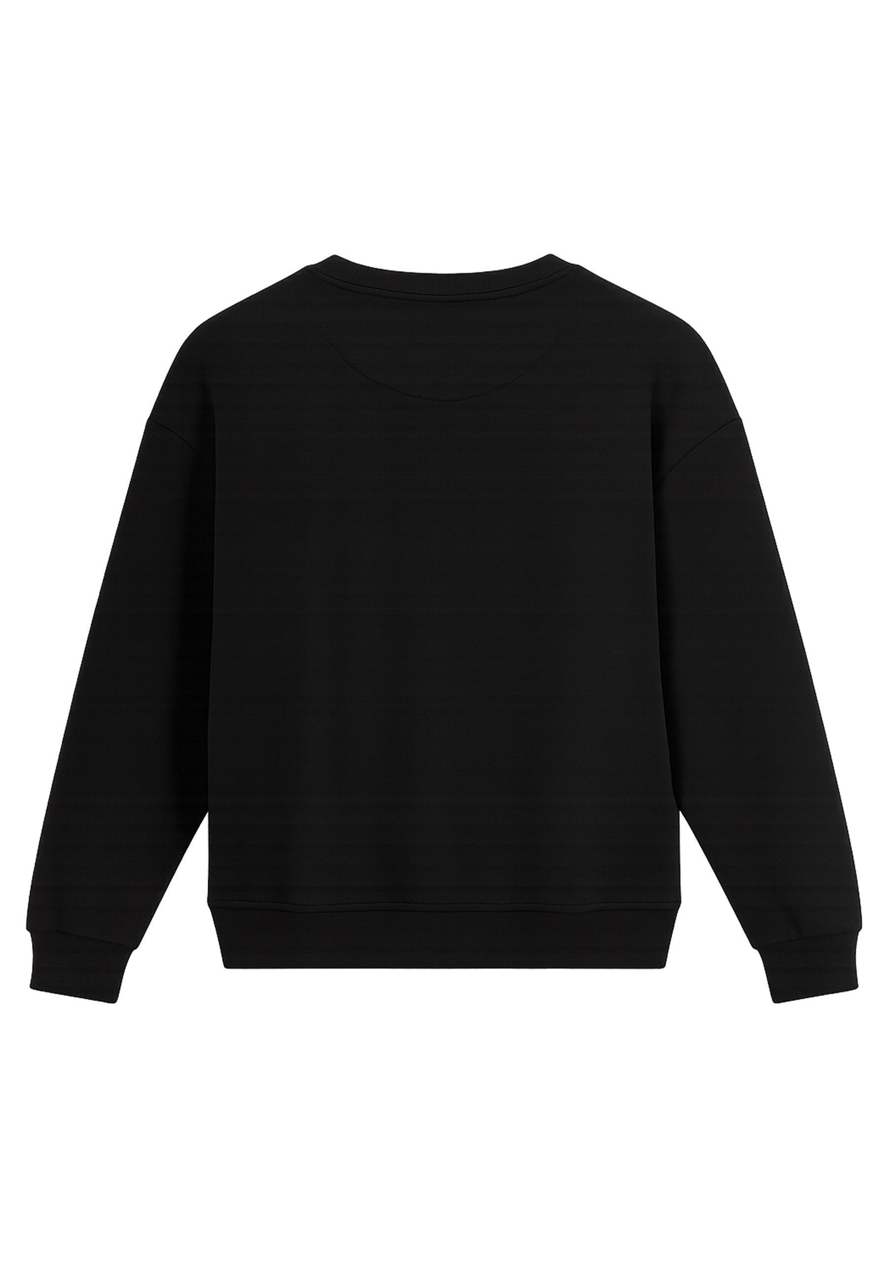 Just Rhyse Rundhalsshirt »Just Rhyse Just Rhyse Firework Pullover« 1 Stk.