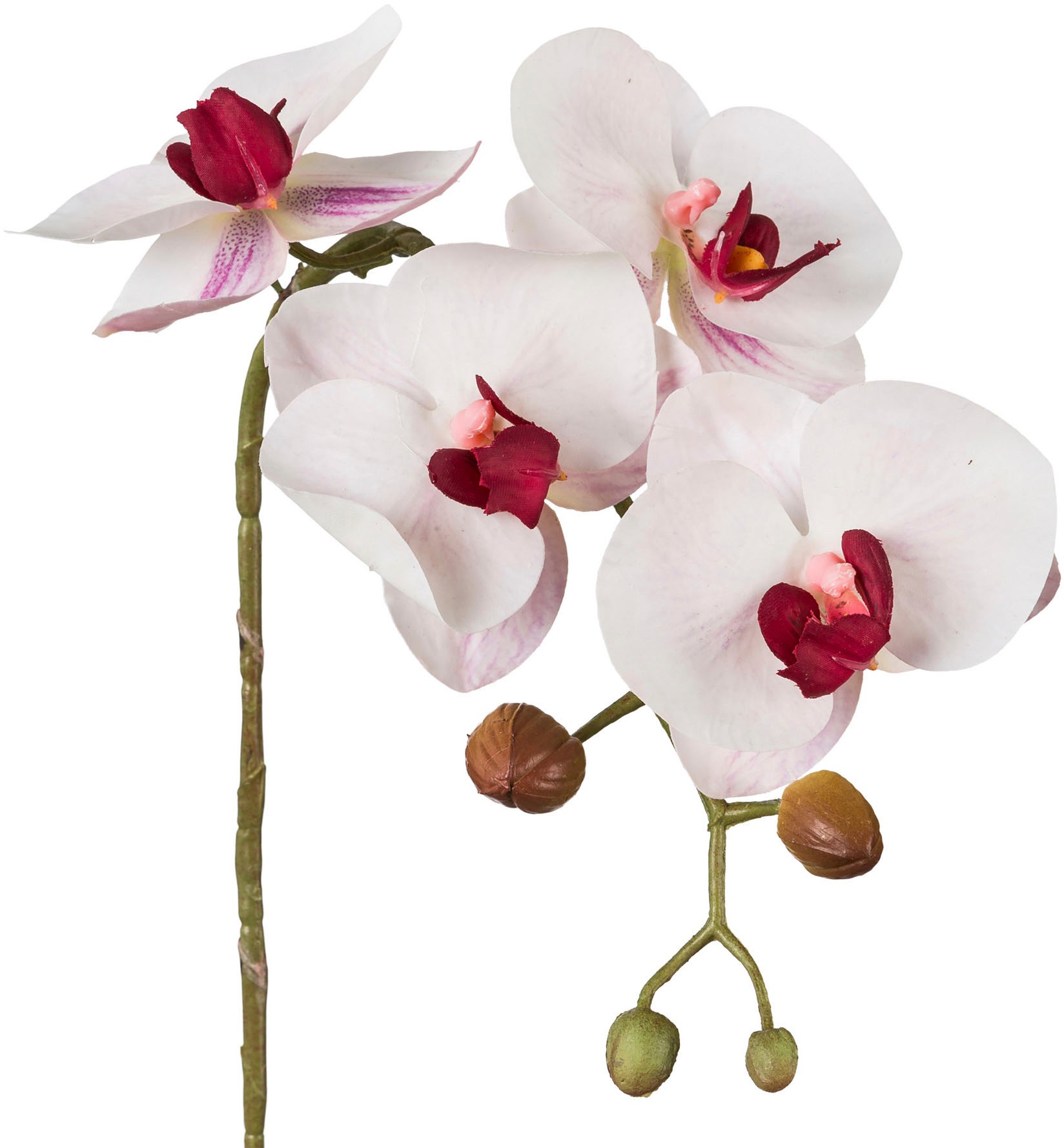 Creativ green Kunstblume »Phalaenopsis 3D-print«, mit Real-Touch-Blüten