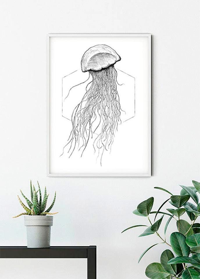 Komar Bild »Jellyfish White«, Tiere, (1 St.), Wandbild zur Dekoration - ohne Rahmen