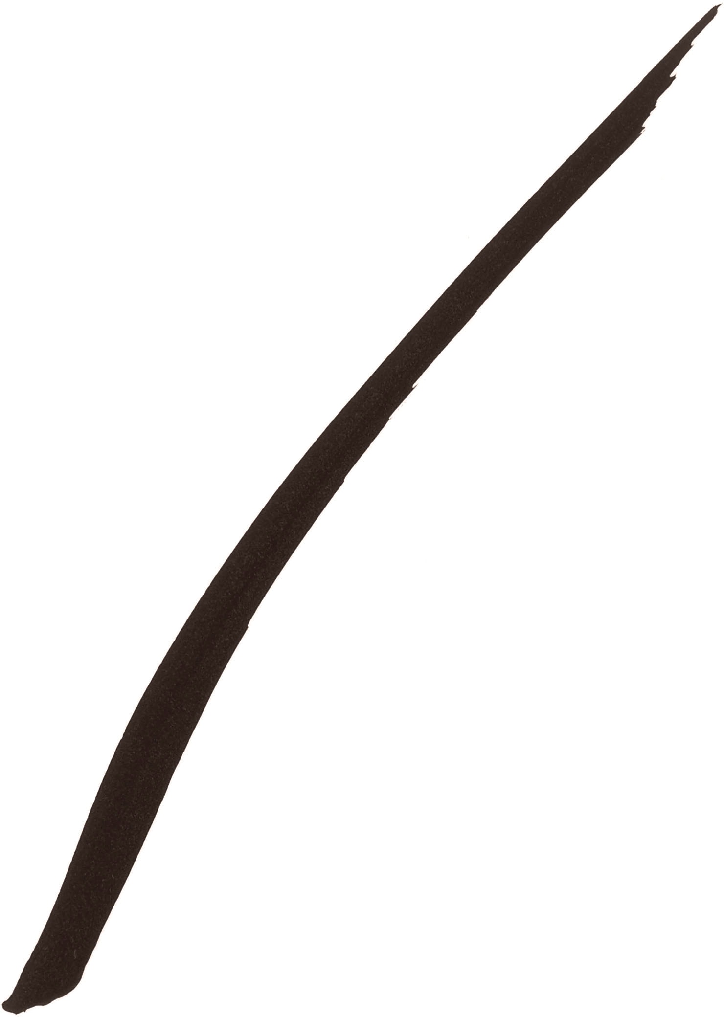 MAYBELLINE NEW YORK Eyeliner »Master Precise Allday Matte«, mit ultra dünner Spitze