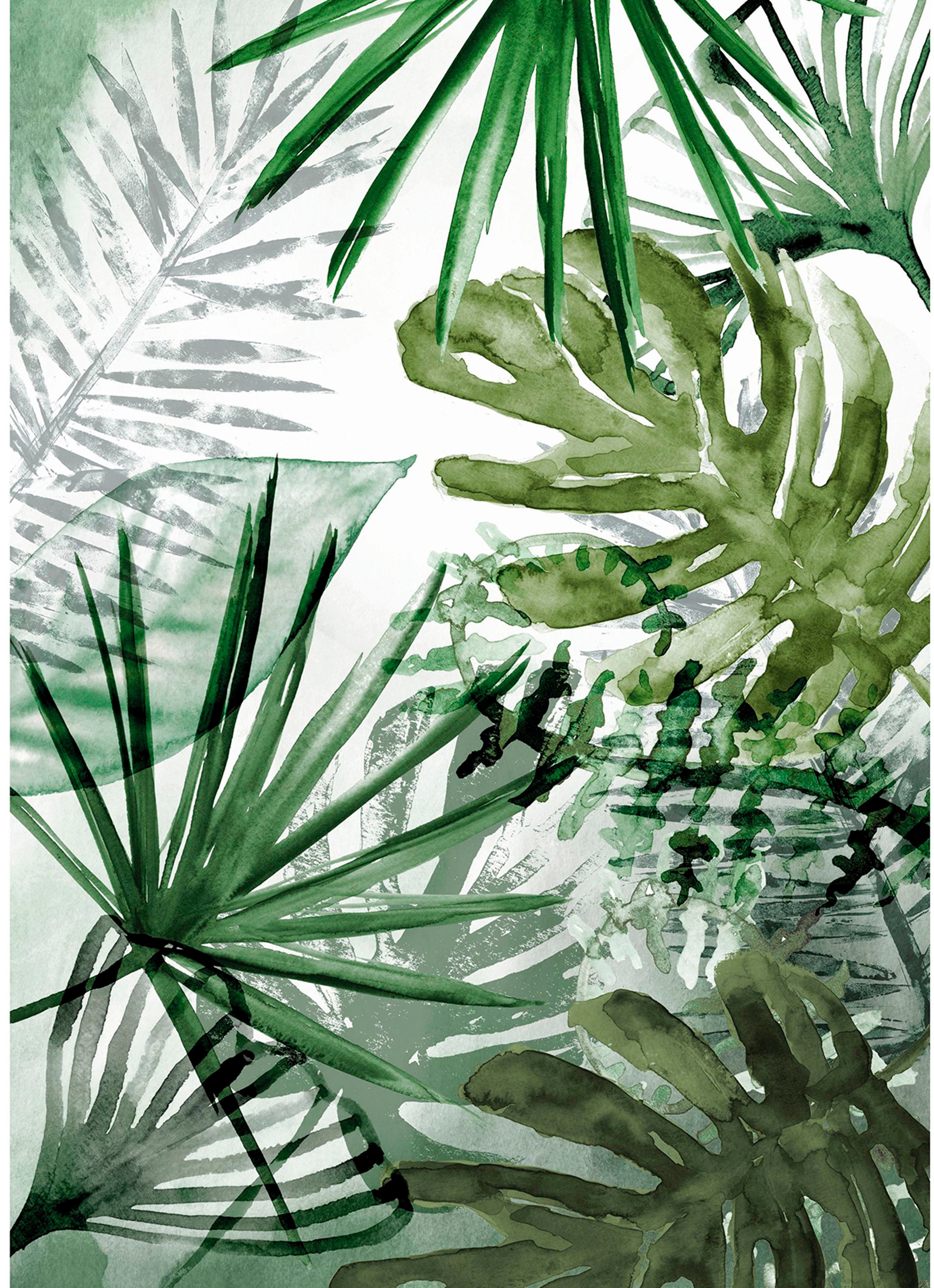 Art for the Home Fototapete Pure nature Monstera 280 x 200 cm günstig online kaufen