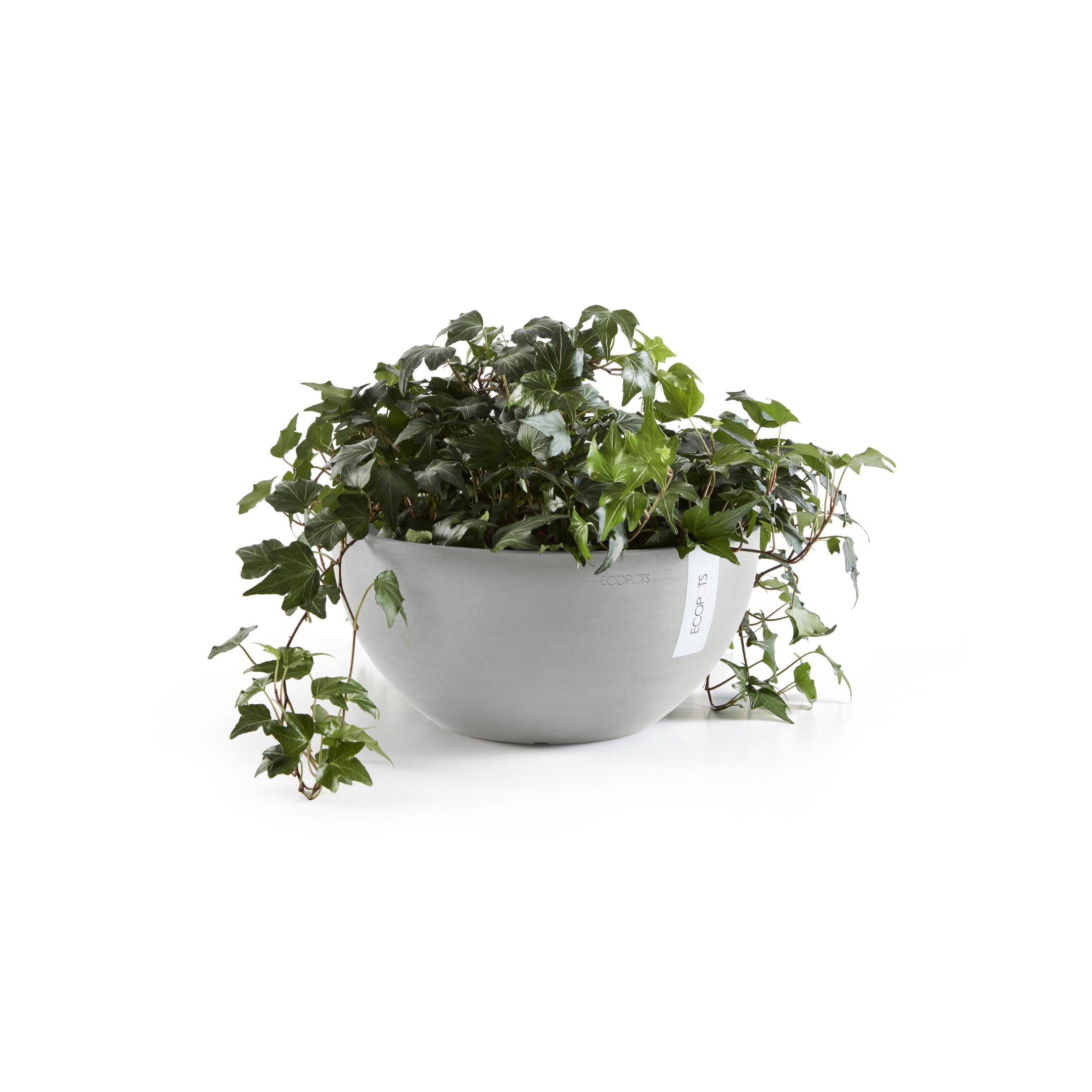 ECOPOTS Blumentopf »Bruges«, ØxH: 30x14 cm