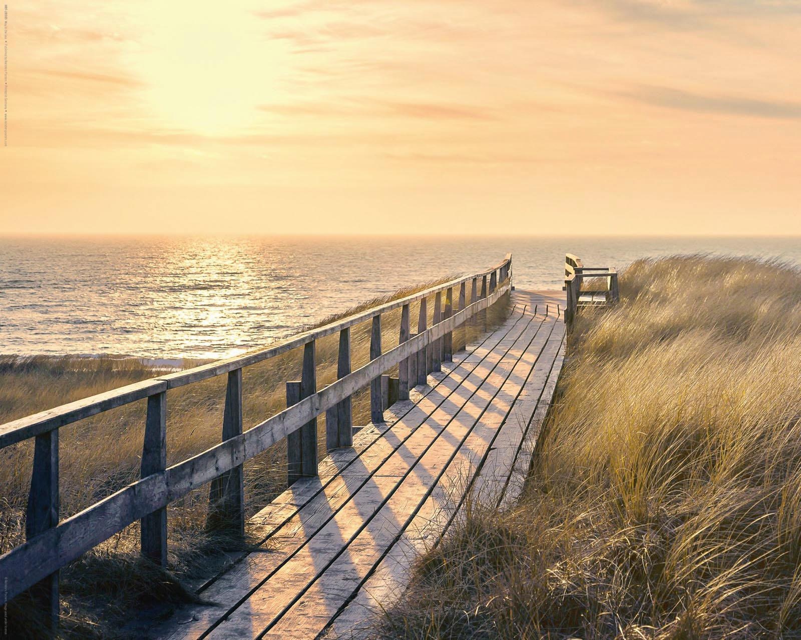 Reinders! Deco-Panel »Strandweg« günstig online kaufen