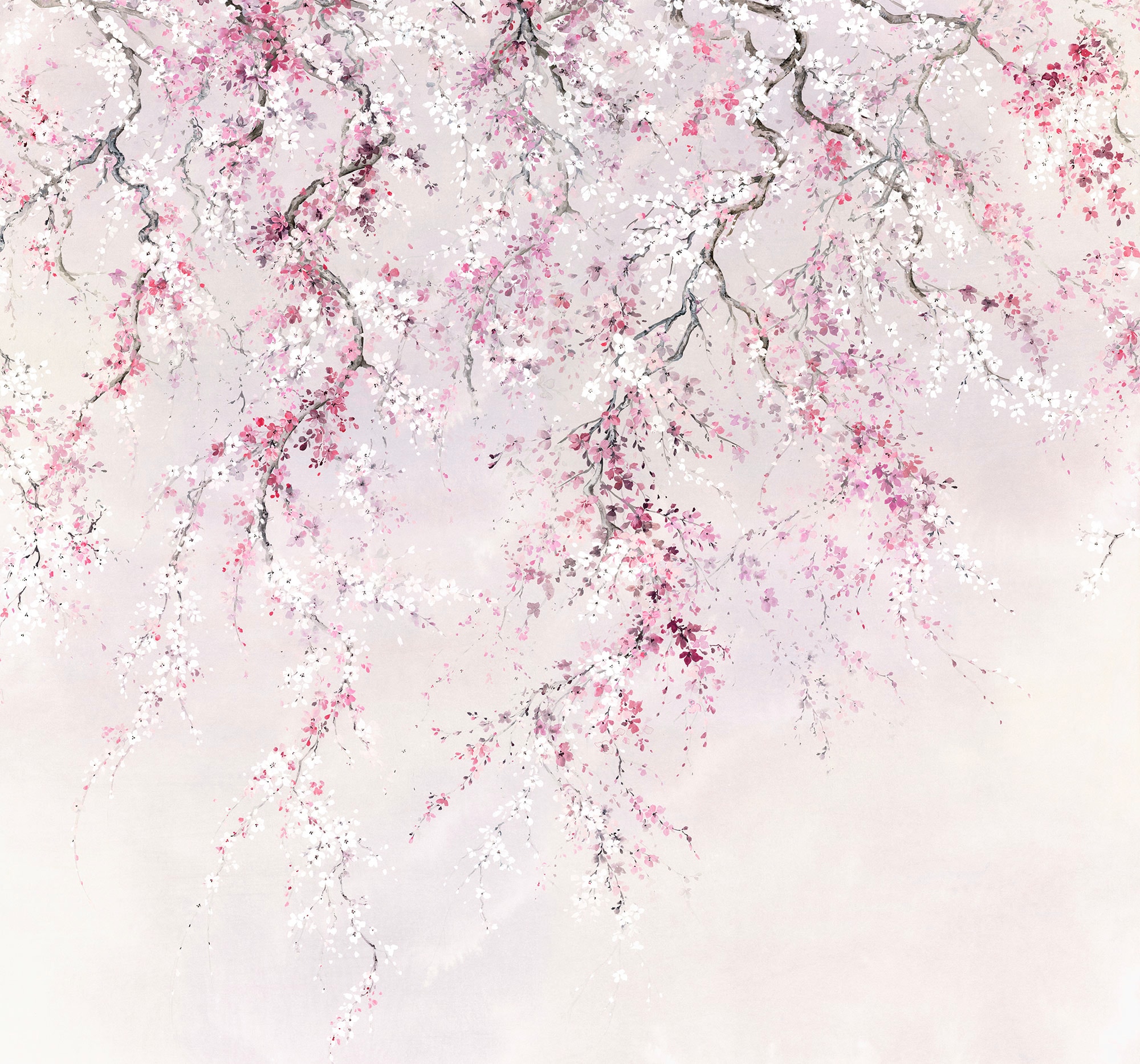 Komar Vliestapete »Kirschblüten«, 300x280 cm kaufen auf Höhe) x Rechnung (Breite