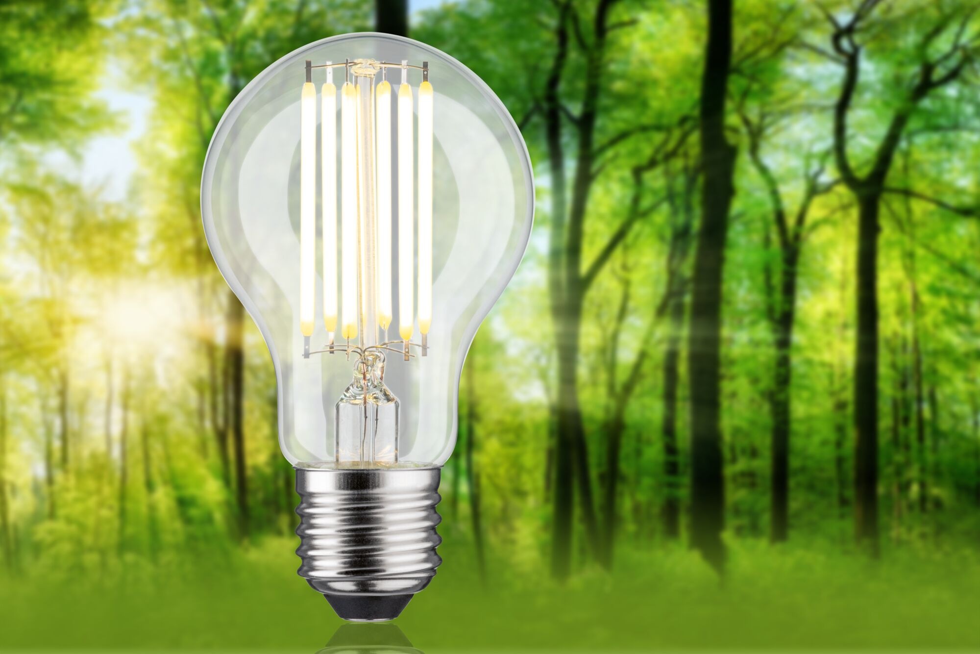 Paulmann LED-Leuchtmittel »Eco-Line Filament 230V LED Birne E27 1er-Set 1521lm 7,2W 3000K Klar«, E27, 1 St., Warmweiß