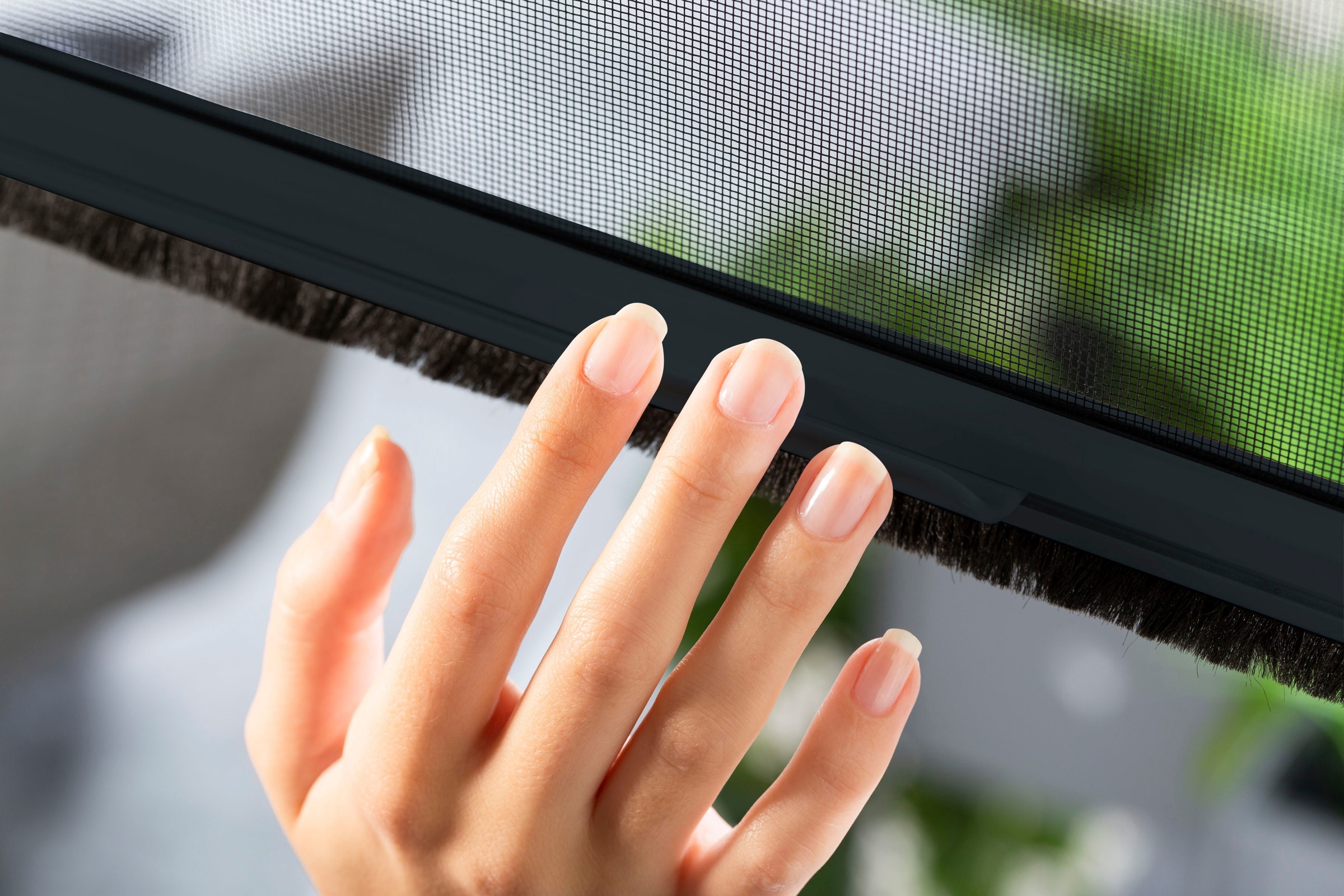 hecht international Insektenschutzrollo »SMART«, transparent, Insektenschutz, für Fenster, kürzbar