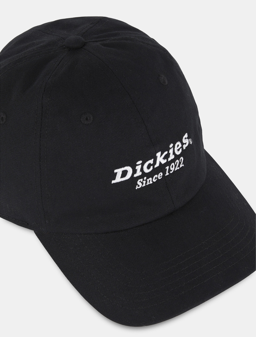 Dickies Baseball Cap »Dickies Workwear Mützen TWILL DAD HAT«