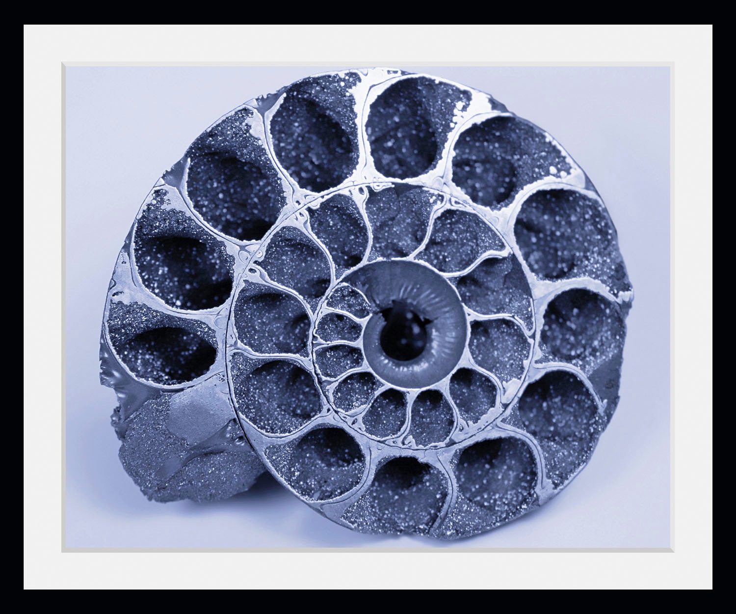 queence Bild »Christoph«, Meer-Wassertiere-Kunst, (1 St.), HD Premium Poste günstig online kaufen