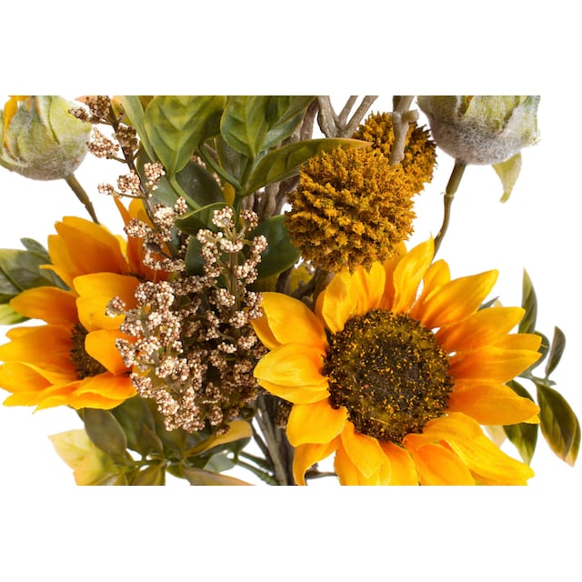 Botanic-Haus Künstliche Zimmerpflanze »Sonnenblumenstrauß im Glas«, (1 St.)  auf Raten bestellen