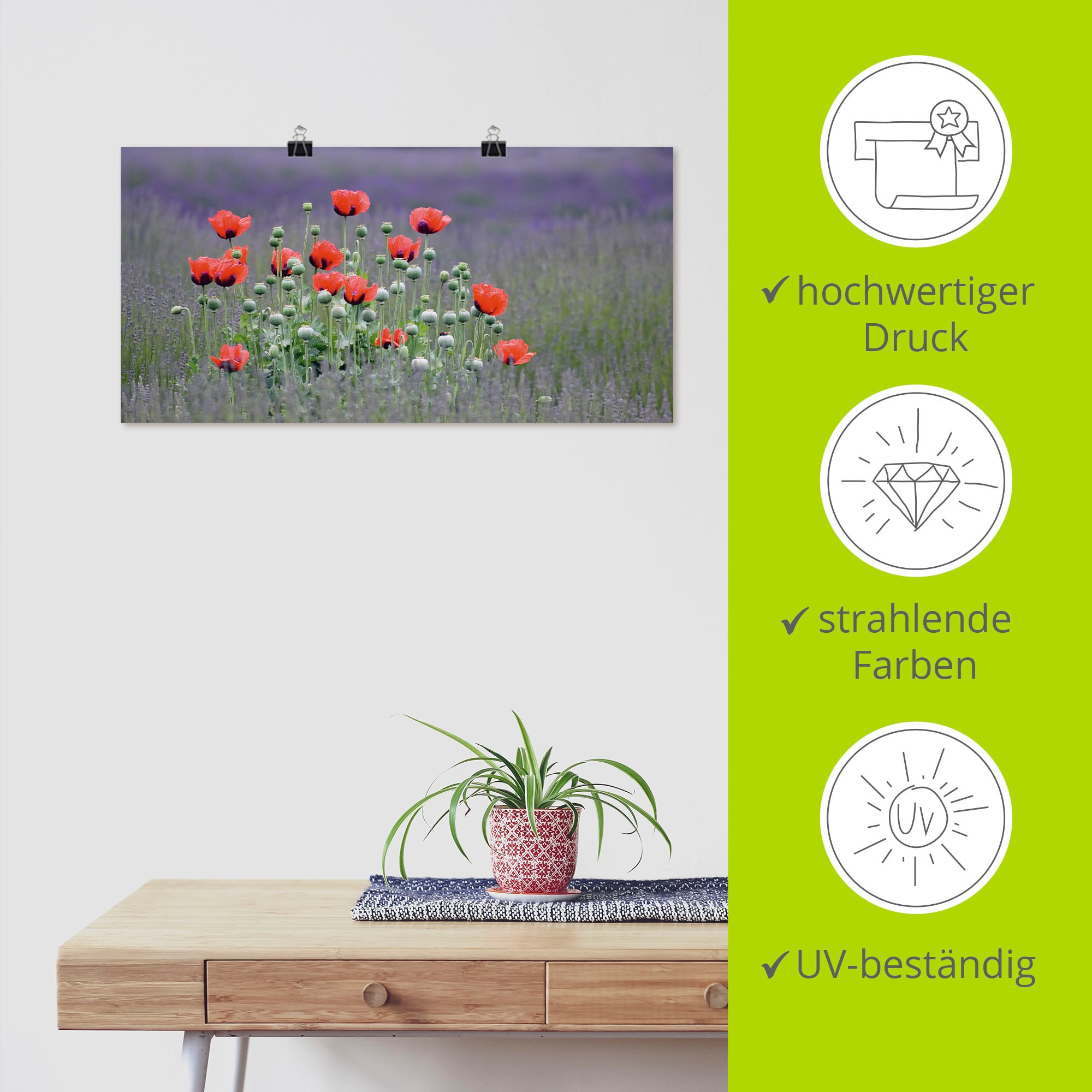 Artland Wandbild »Lavendelfarm in Sequim - Mohnblumen«, Blumenwiese, (1 St.), als Leinwandbild, Poster, Wandaufkleber in verschied. Größen