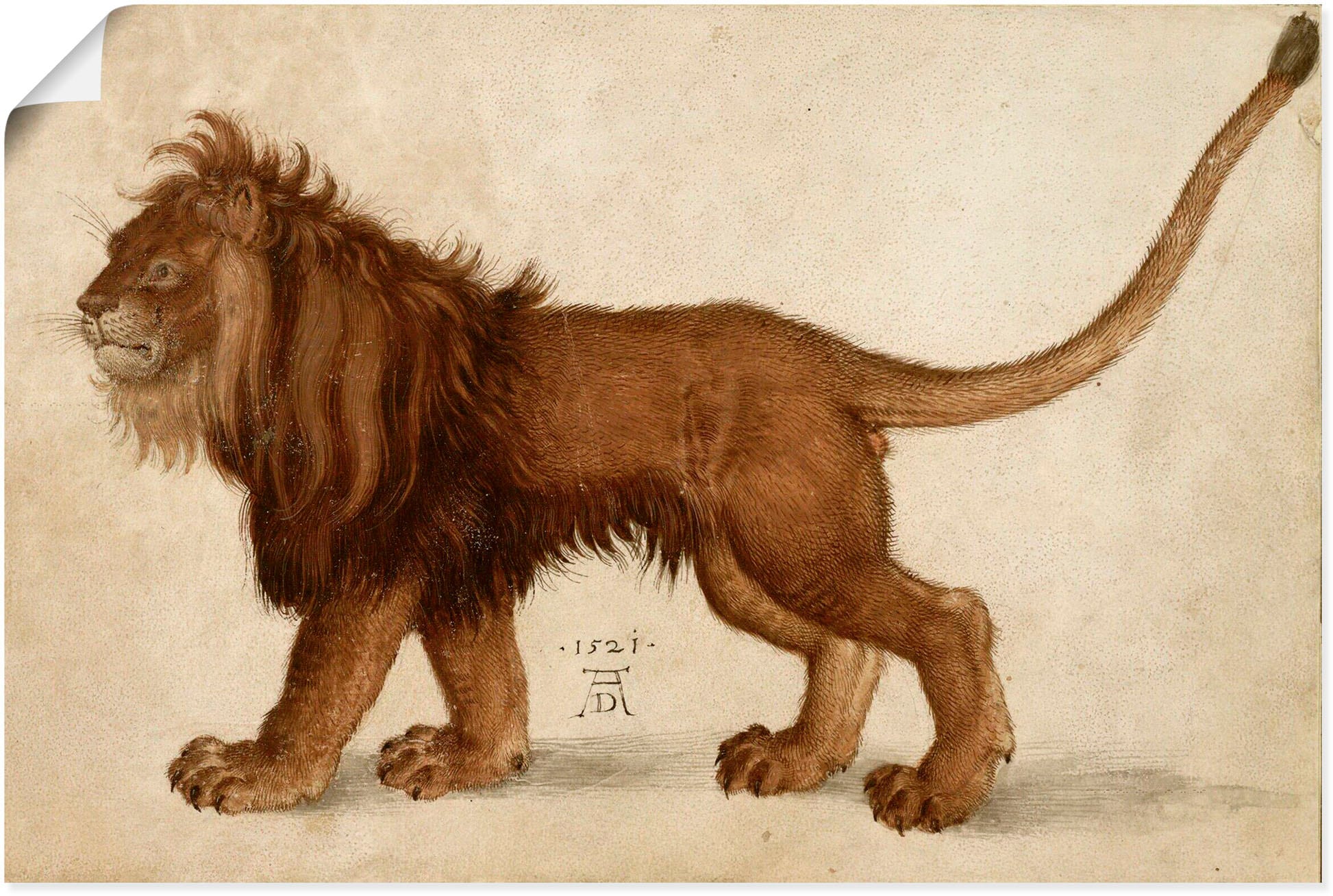 Artland Kunstdruck »Löwe. 1521«, Raubkatzen, (1 St.), als Alubild, Leinwandbild, Wandaufkleber oder Poster in versch. Größen