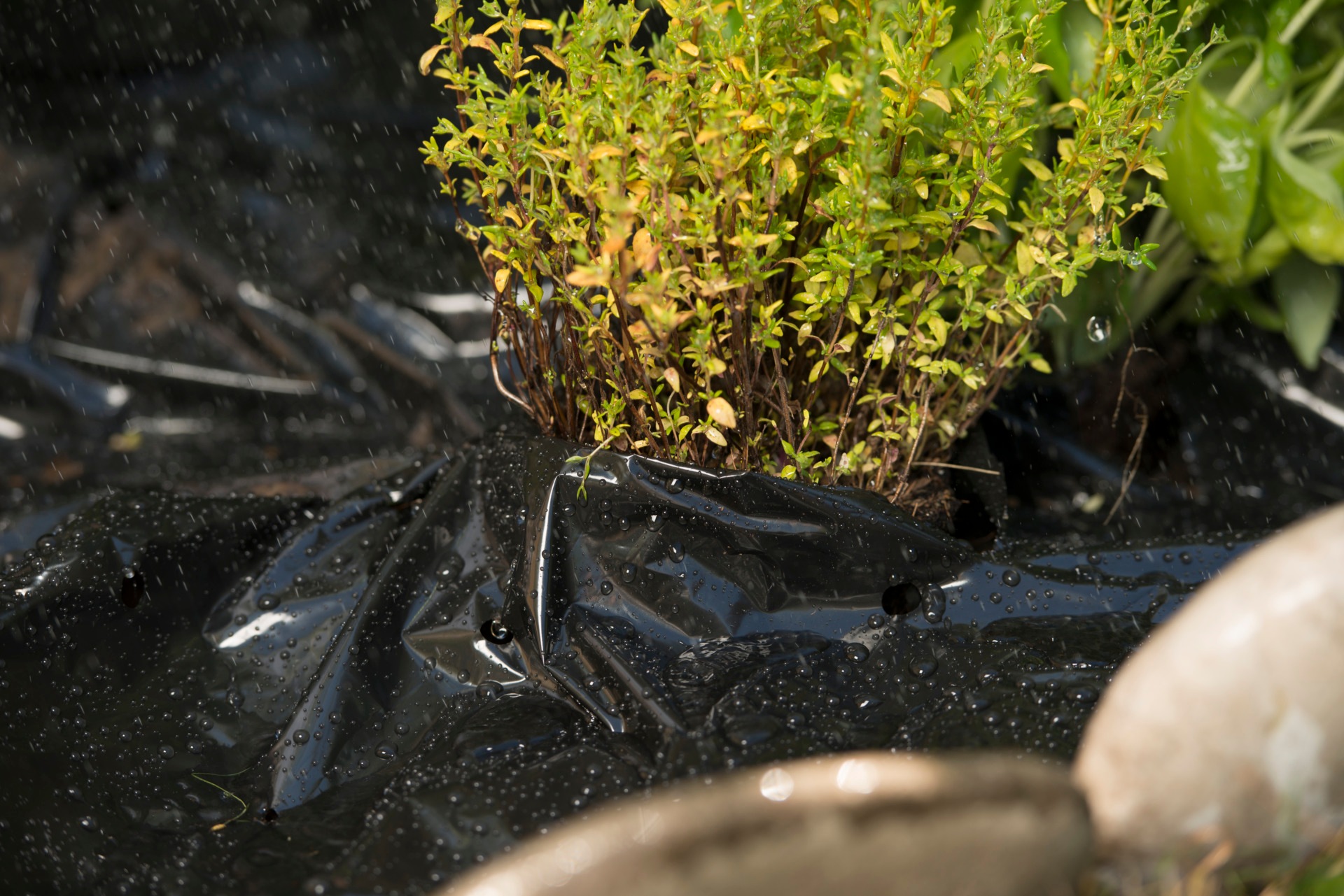 Windhager Gartenvlies »Trenn-Vlies für Blumentöpfe und Kübelpflanzen« 1 Stk. tlg. Topfvlies 1 x 2 m, Pflanzenvlies schwarz
