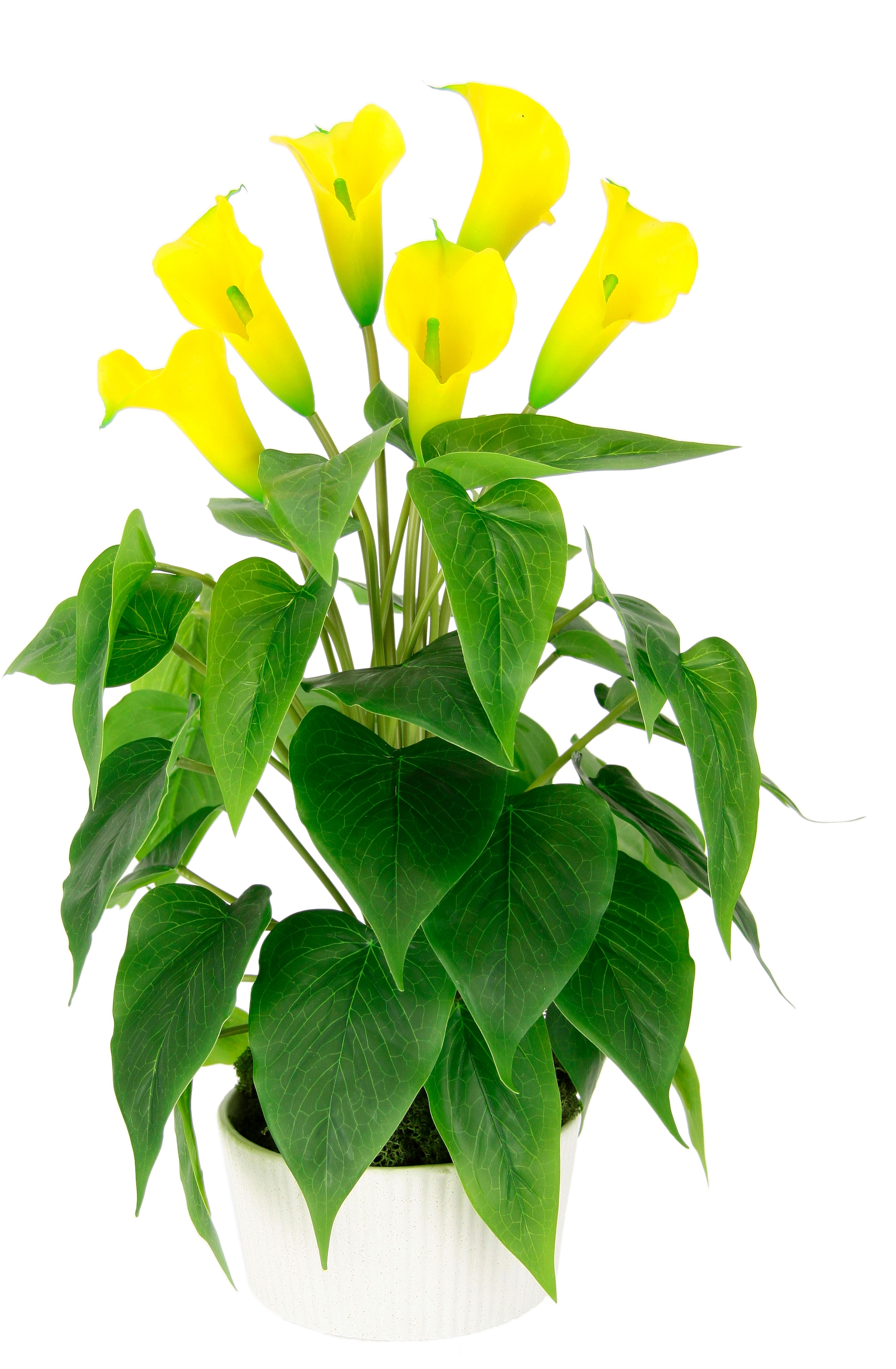 Kunstblume »Calla«, Im Topf aus Keramik Kunstpflanze Künstliche Blumen Seidenblumen