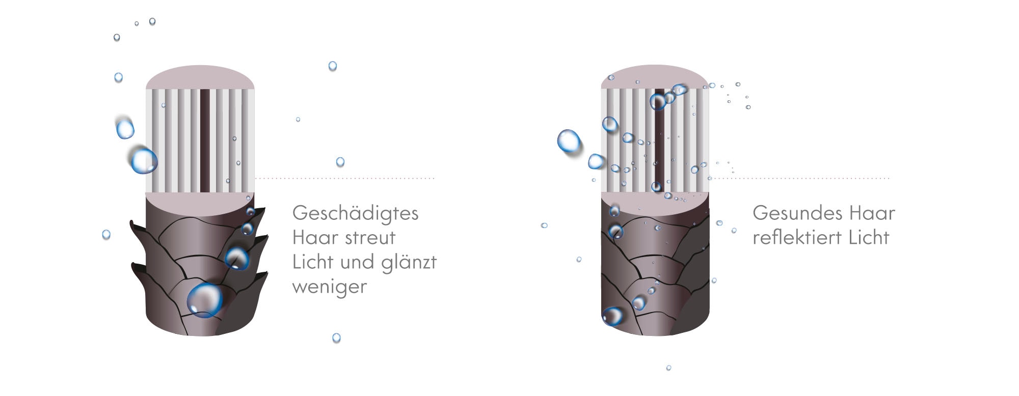 eta Ionic-Haartrockner »Fenite Black Edition ETA932090010«, 1600 W, 2 Aufsätze, Verfügt über ein magnetisches Befestigungssystem