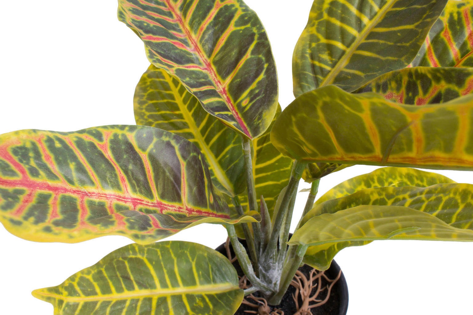 Botanic-Haus Künstliche Zimmerpflanze »Croton«