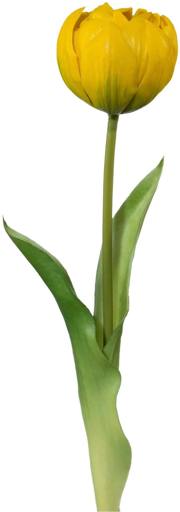 Creativ green Kunstblume »Tulpe«, mit real-touch-Blüten