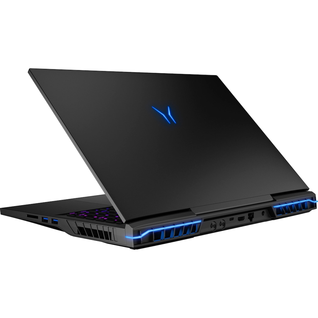 Medion® Gaming-Notebook »ERAZER Beast X40«, 43,2 cm, / 17 Zoll, Intel, Core i9, GeForce RTX 4090, 1000 GB SSD