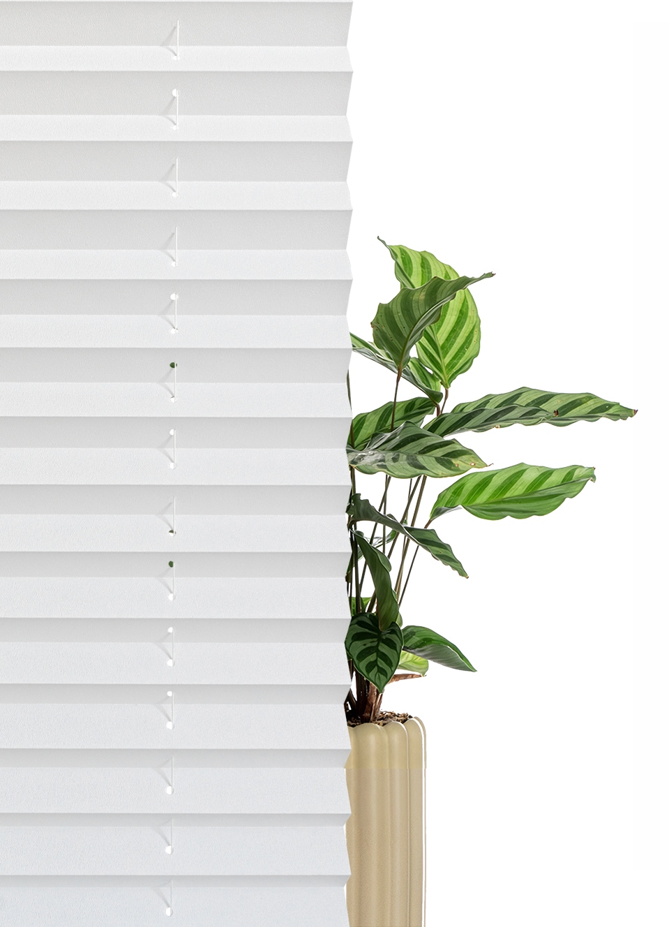 OTTO home Plissee »LORRI« Lichtschutz ohne Bohren freihängend Freihängendes Design ohne störende Schnüre oder Ketten - NEUHEIT!