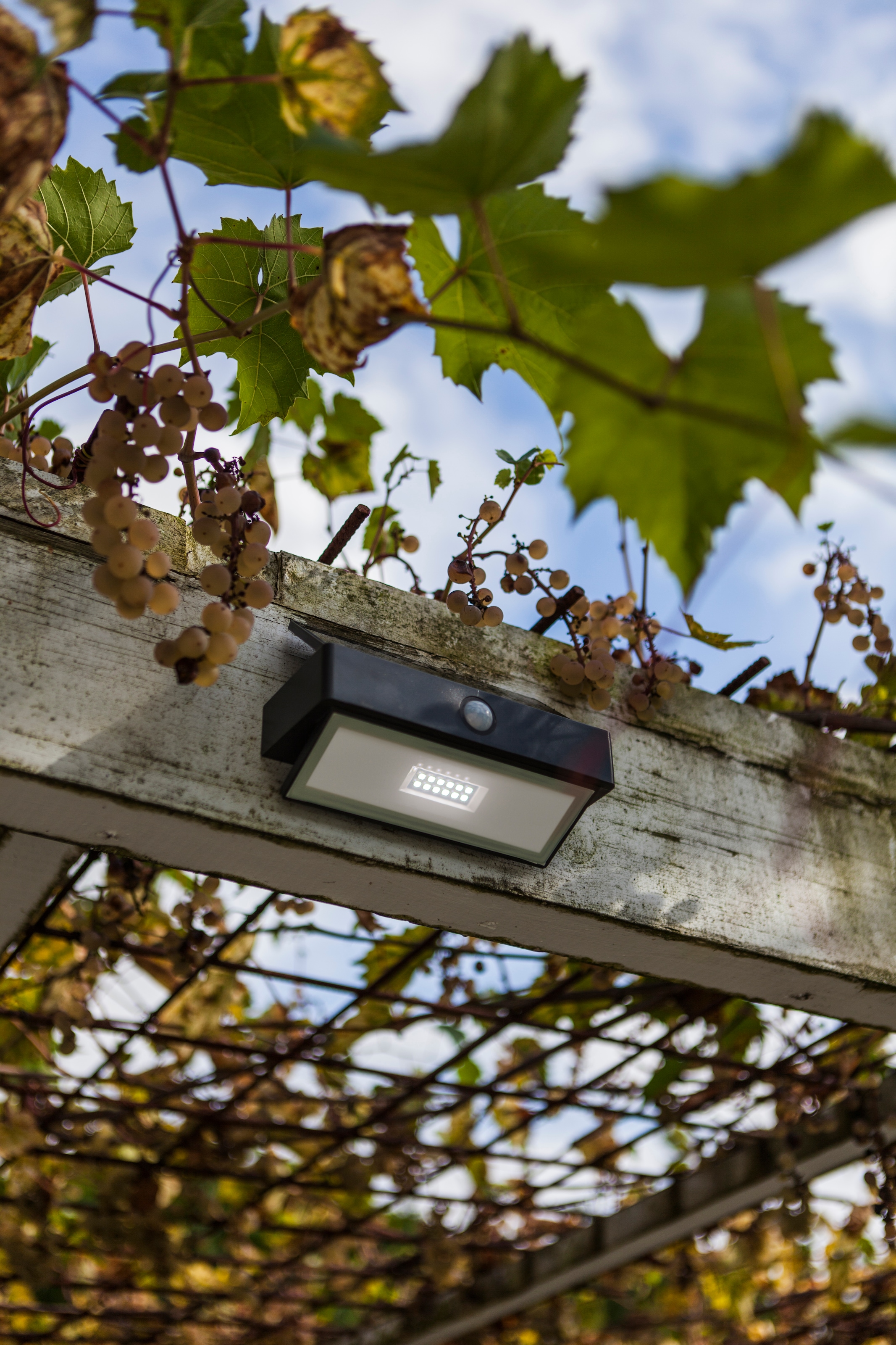 LUTEC LED Solarleuchte »LED-Solar-Wandleuchte Arrow, anthrazit«, 1 flammig, Leuchtmittel LED-Board | LED fest integriert, Bewegungsmelder