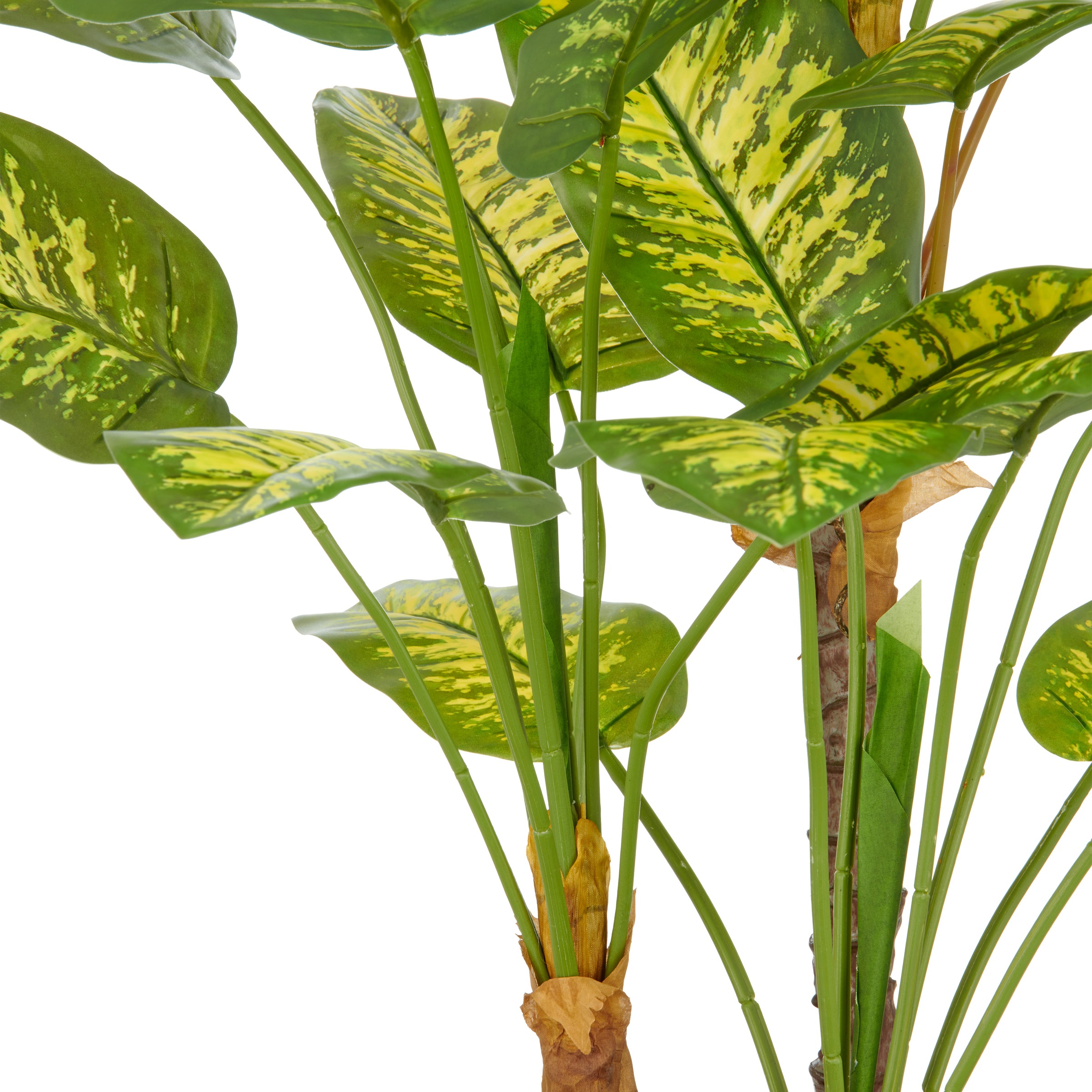 Creativ green Kunstpflanze »Dieffenbachia« mit naturgetreuer Gestaltung günstig online kaufen