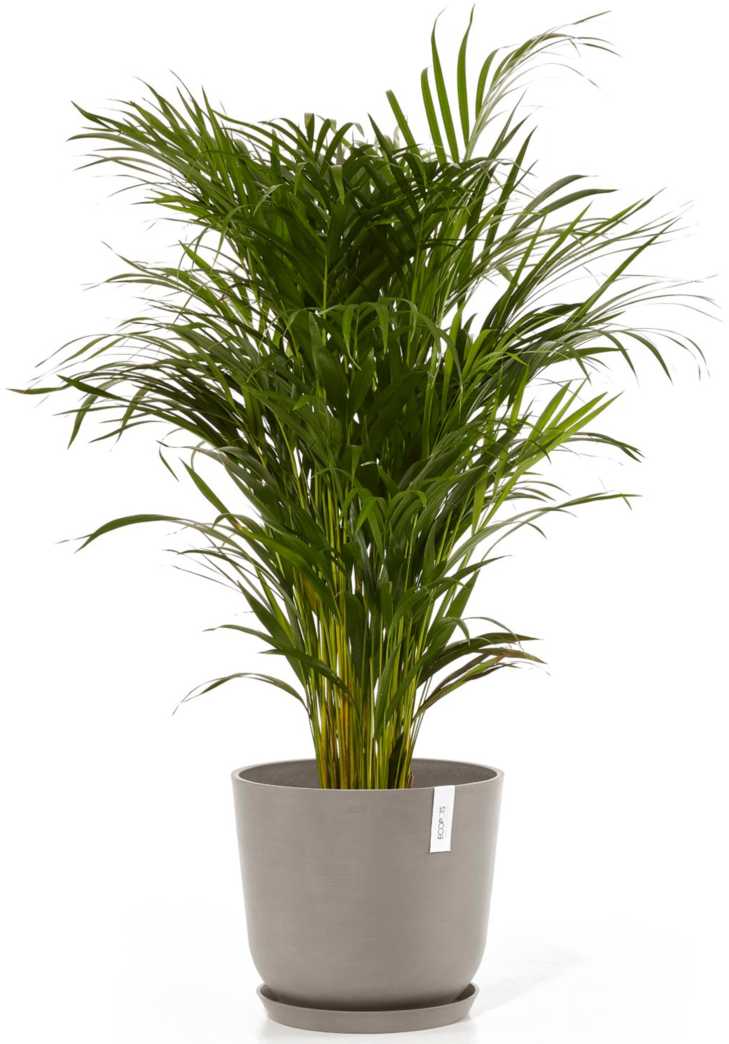 ECOPOTS Blumentopf »Oslo 35 + Wassersystem Taupe«, für innen und außen: frostsicher, bruchsicher und lichtbeständig
