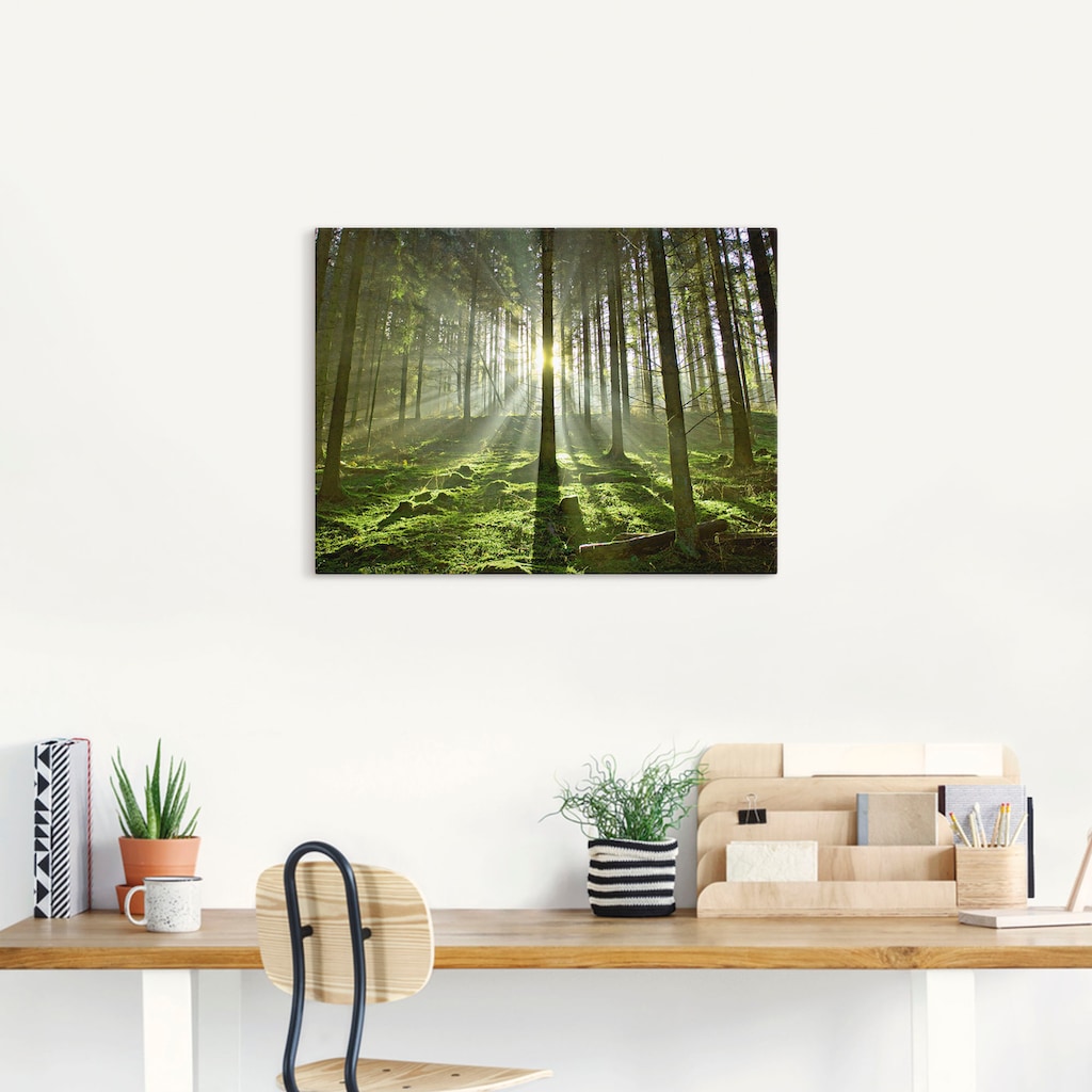 Artland Wandbild »Wald im Gegenlicht«, Wald, (1 St.)