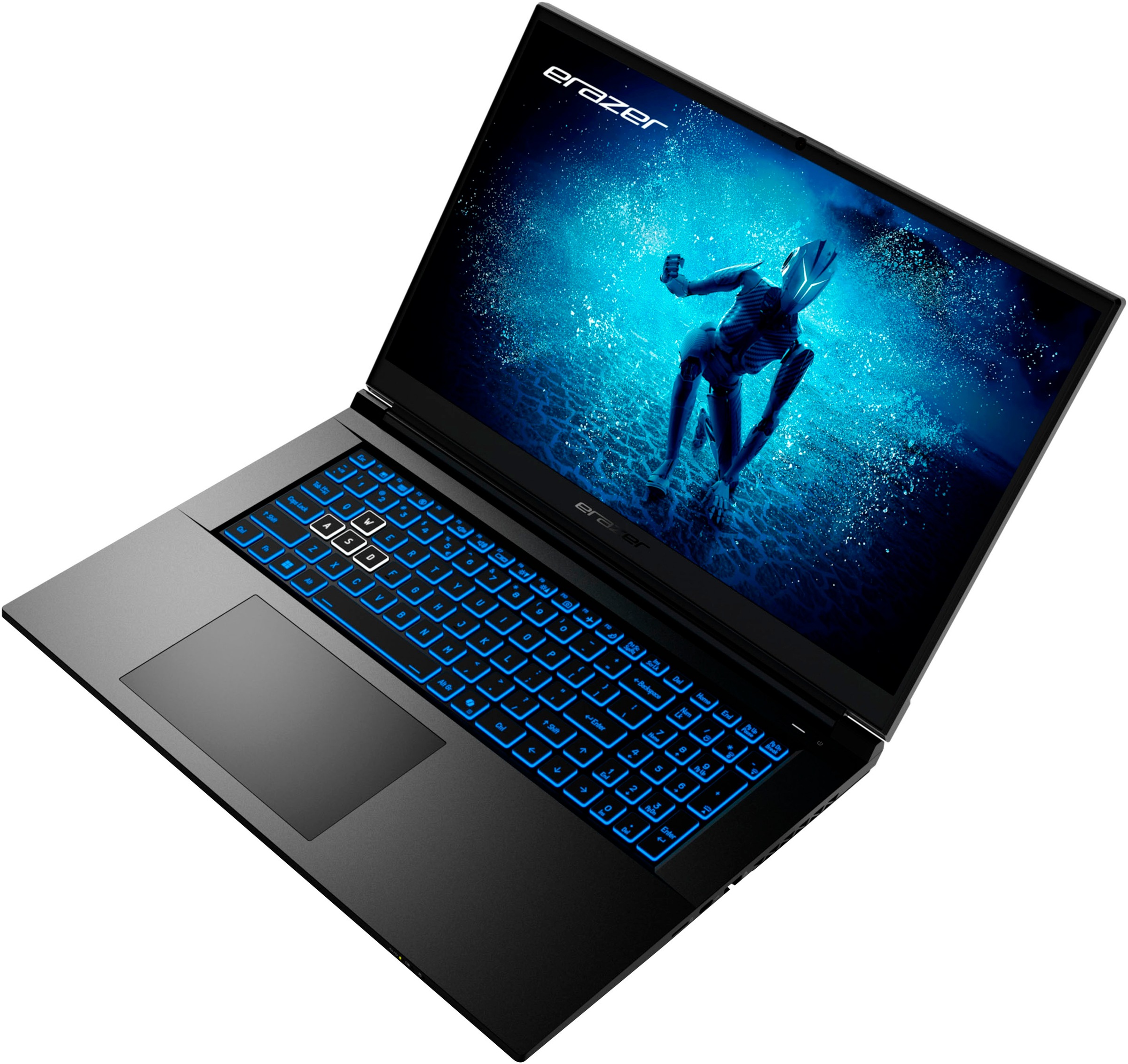 Medion® Gaming-Notebook »ERAZER Defender P50i (MD62678)«, 43,9 cm, / 17,3 Zoll, Intel, Core i7, GeForce RTX 4060, 1000 GB SSD
