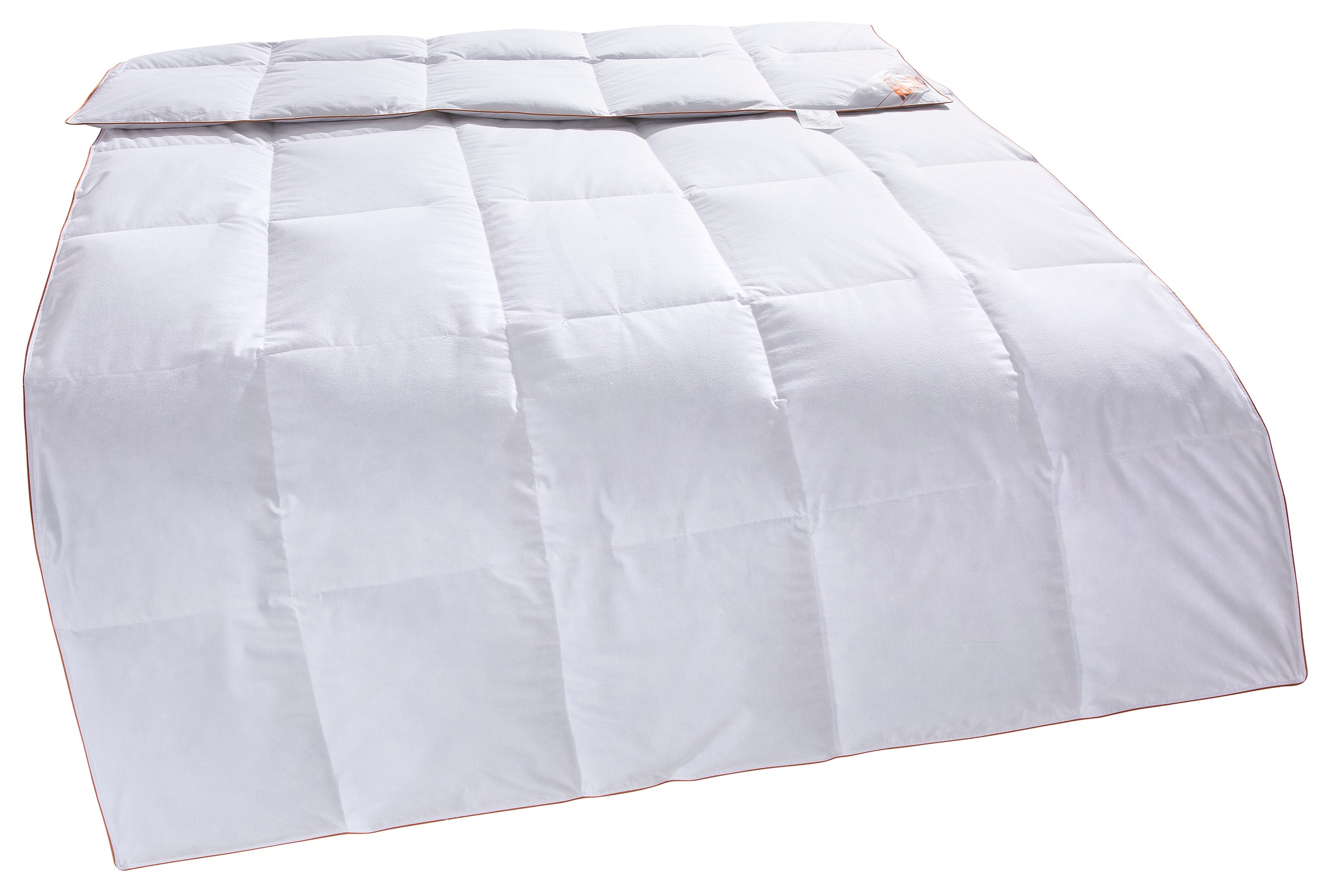 RIBECO Daunenbettdecke »Richard, Bettdecken für Sommer oder Winter, Made in günstig online kaufen