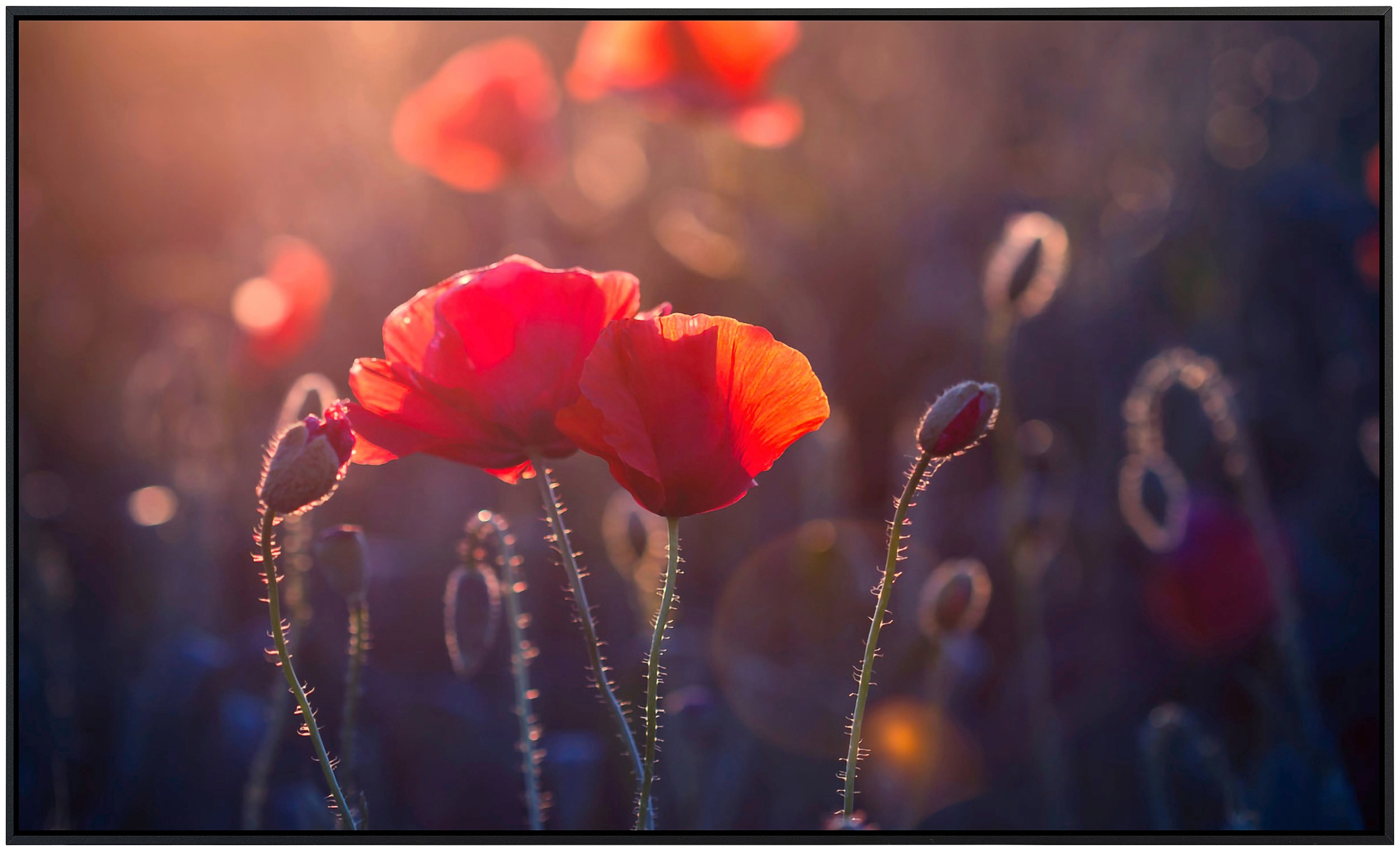 Papermoon Infrarotheizung »Blumen«, sehr angenehme Strahlungswärme