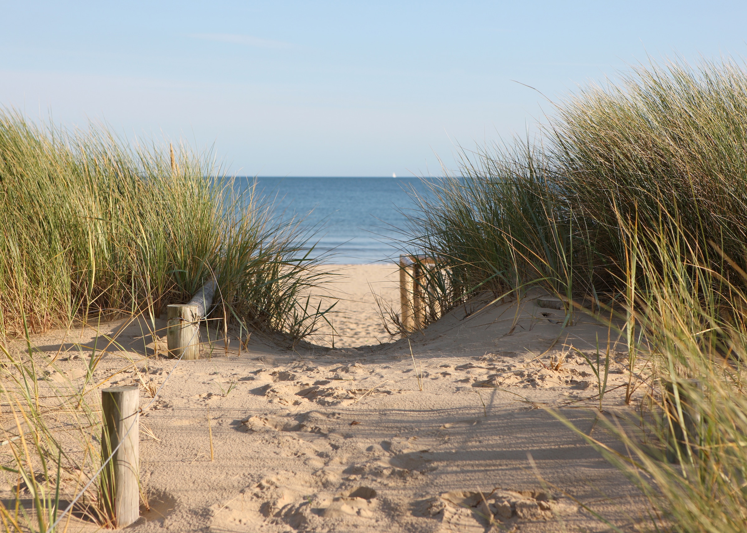 Papermoon Fototapete »Dunes in Dorset« glatt günstig online kaufen