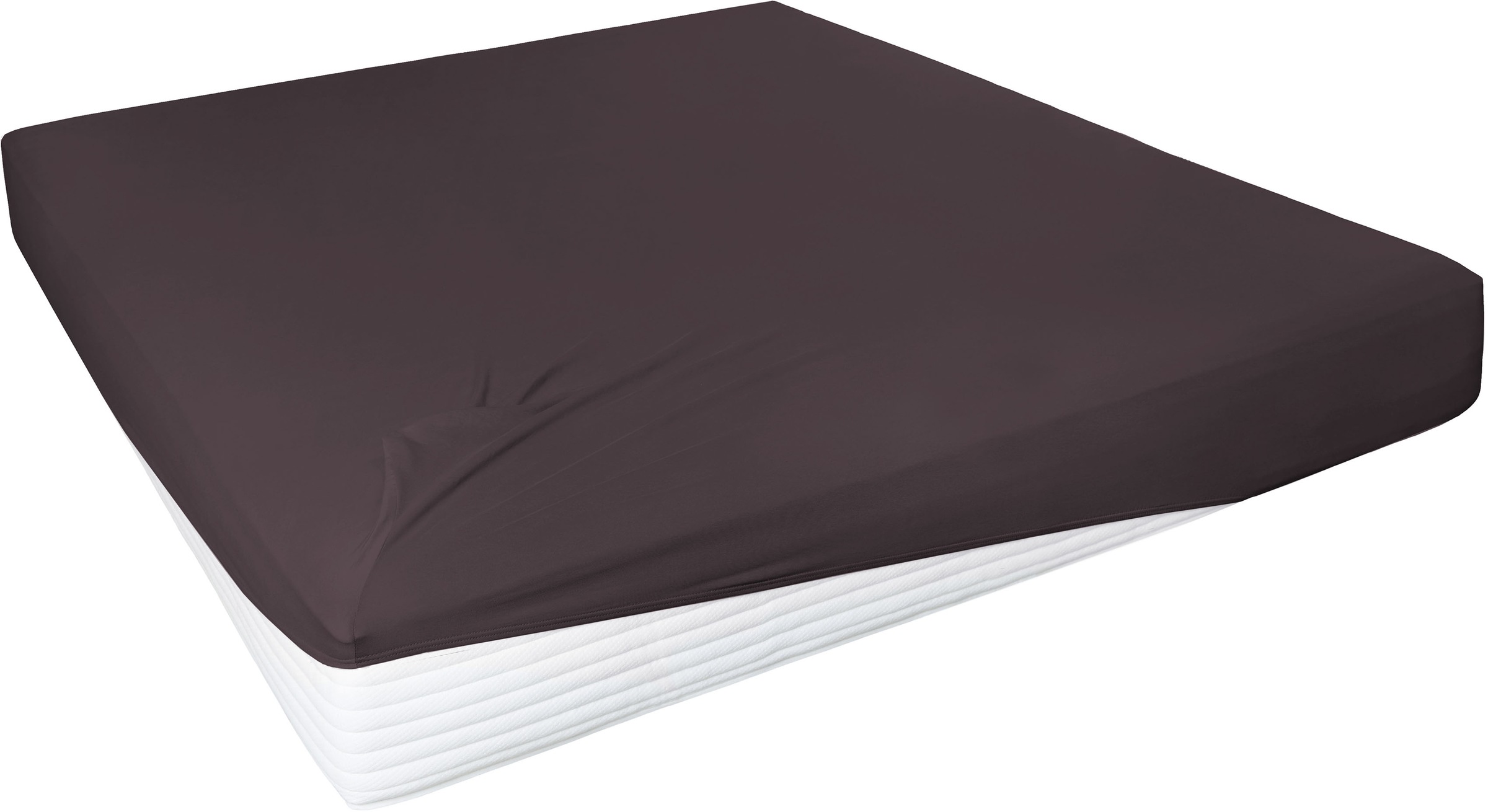 Primera Spannbettlaken »Elasthan-Feinjersey«, PREMIUM, aus 95% gekämmter Baumwolle und 5% Elasthan, bis 28 cm Höhe