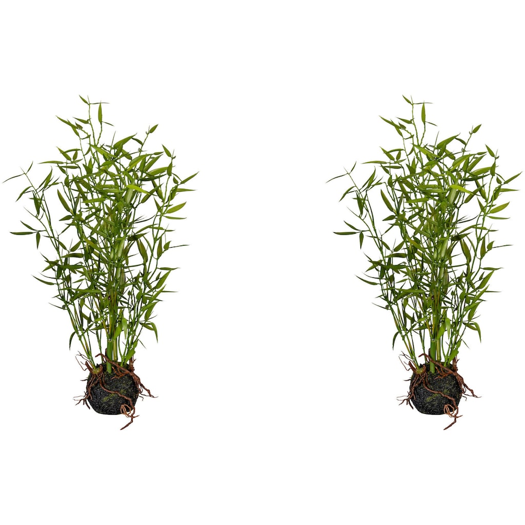Creativ green Künstliche Zimmerpflanze »Bambus im Moosballen«