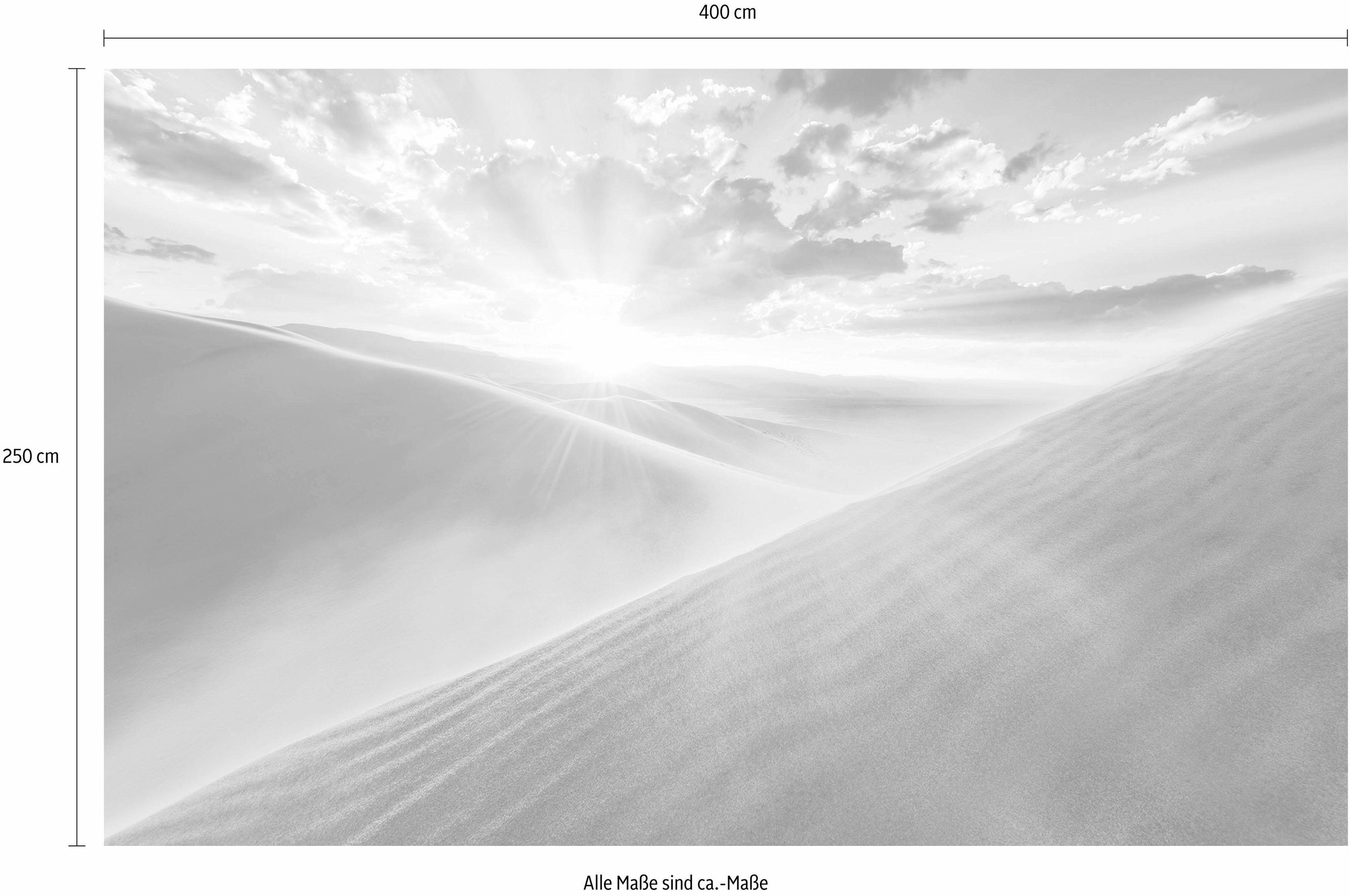 Komar Vliestapete »Digitaldruck Vlies -  Gently Touched - Größe 400 x 250 cm« bedruckt glatt Wohnzimmer, Schlafzimmer