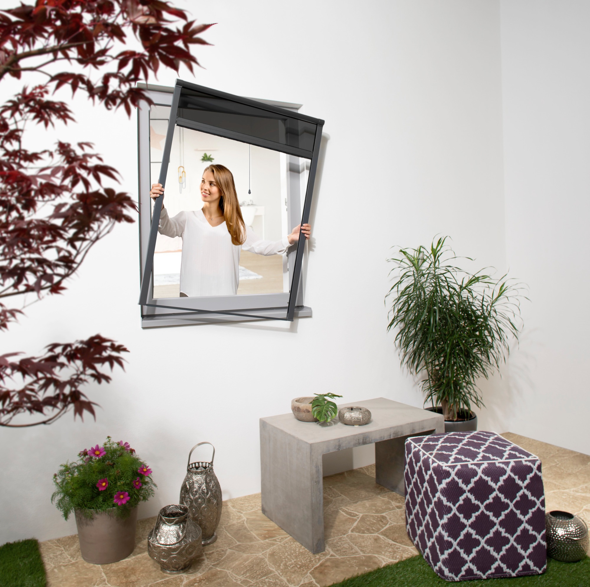 Windhager Insektenschutzrollo transparent Hitzeschutz   Insektenschutz BxH: günstig online kaufen