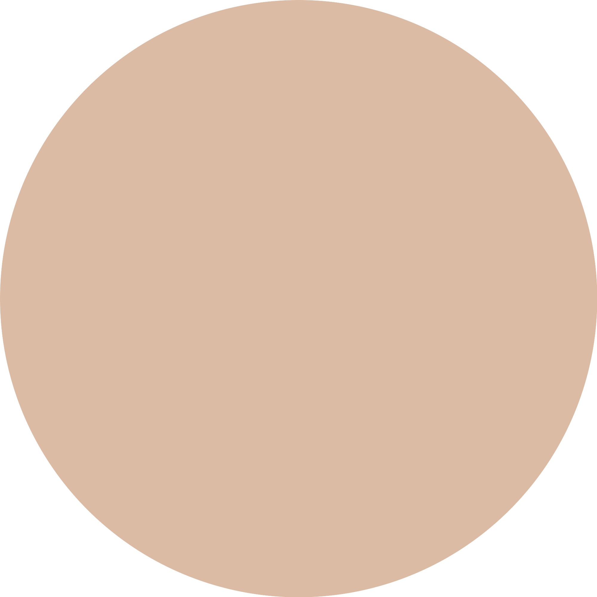 Essence Foundation »Silky BLUR HYDRATING LONGWEAR FOUNDATION«