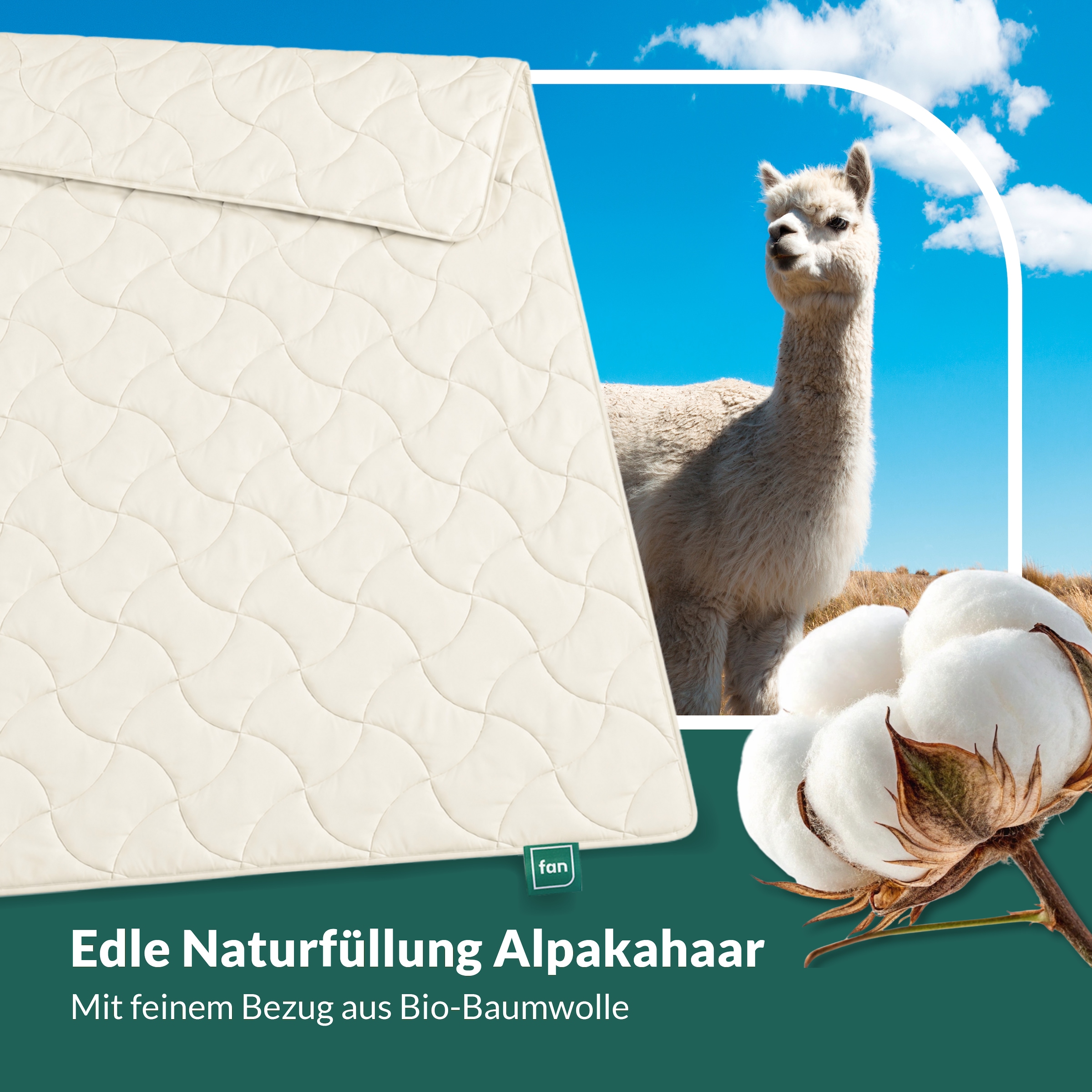 fan Naturhaarbettdecke »Baby Alpaka, Bettdecke in 135x200 und weiteren Größen erhältlich« leicht Füllung 97% Alpaka & 3% sonstige Faser 1 Stk. tlg. Bettdecke aus Naturhaar hergestellt in Deutschland