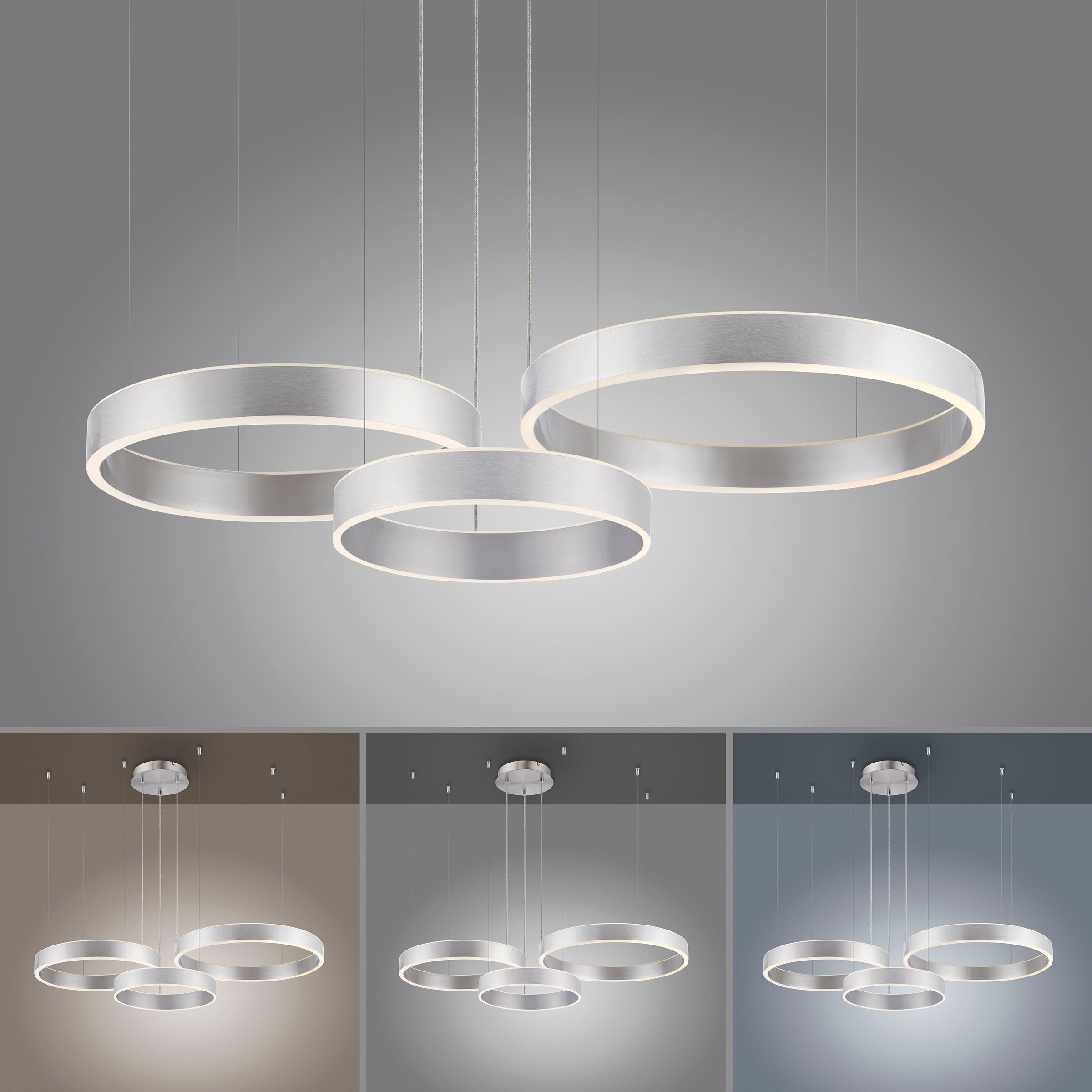 Paul Neuhaus Pendelleuchte »SCULLI« LED-Board 1 Stk. warmweiß - kaltweiß günstig online kaufen