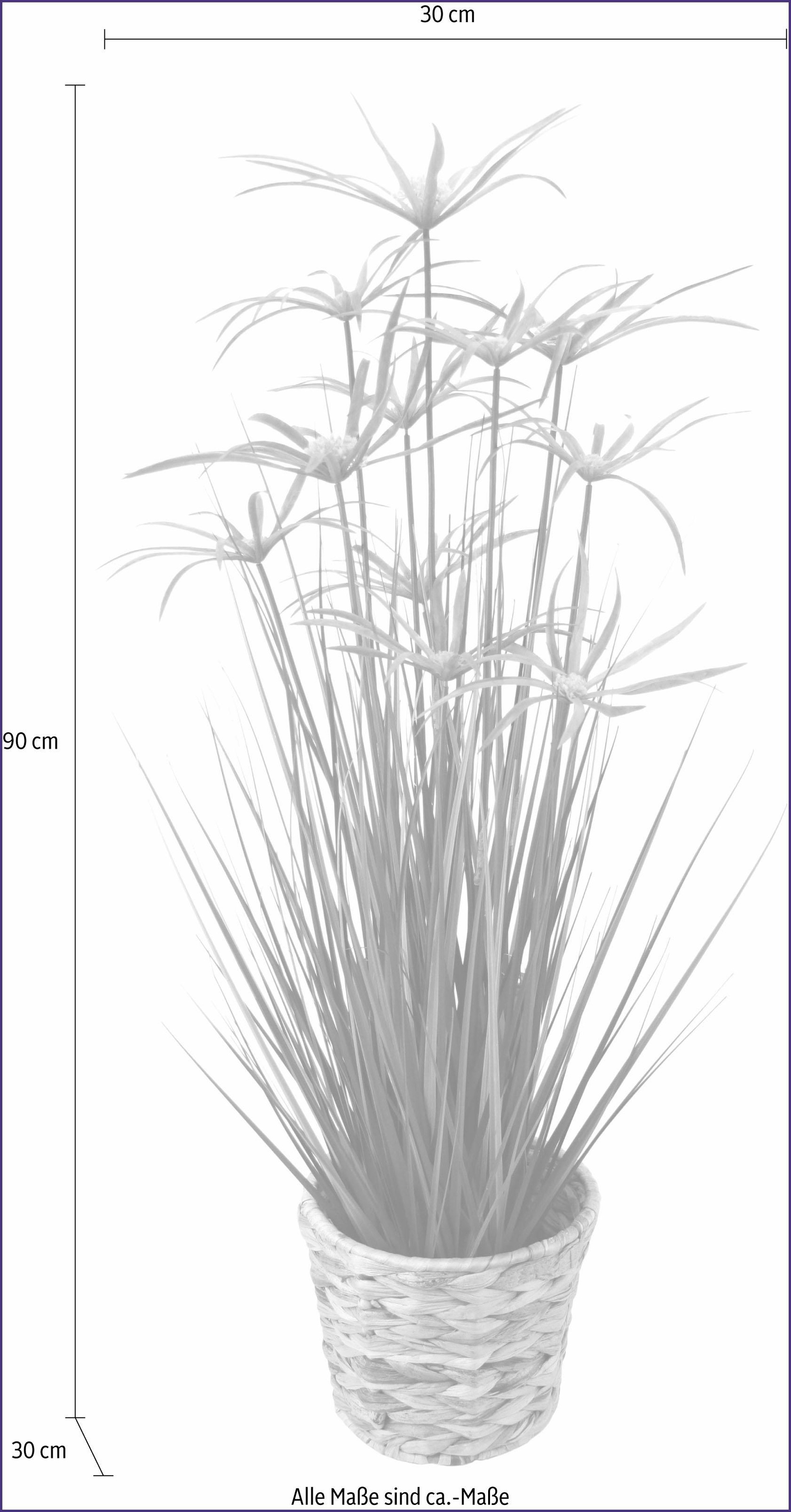 I.GE.A. Kunstpflanze »Zyperngras auf Rechnung in St.) Wasserhyazinthentopf«, (1 kaufen