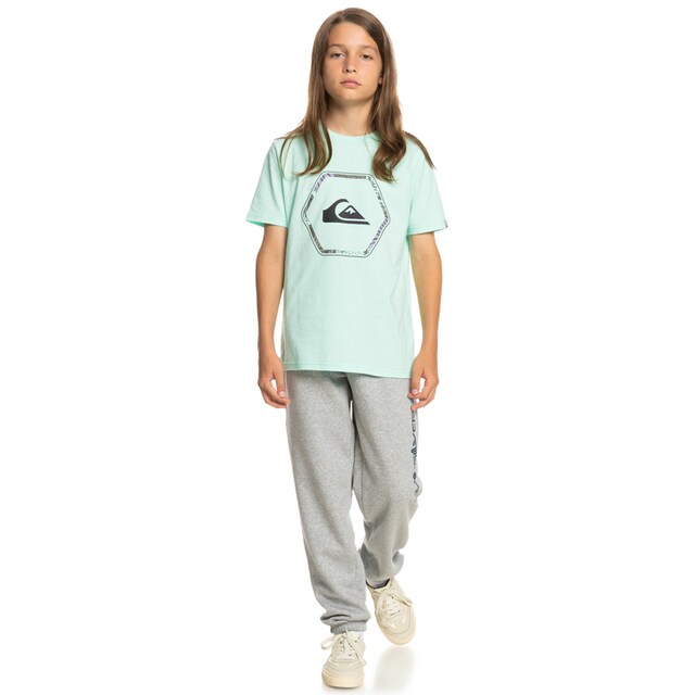 Quiksilver T-Shirt »In Shapes« online bei