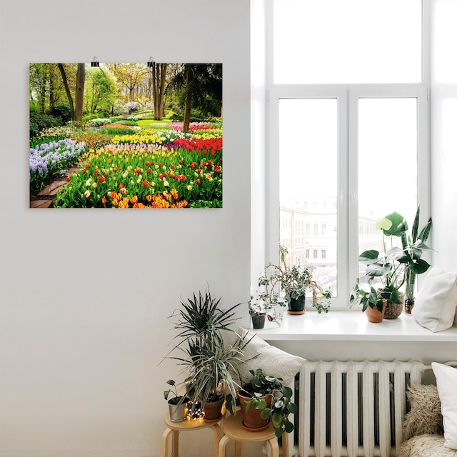 Artland Wandbild »Tulpen Garten Frühling«, Blumenwiese, (1 St.), als Alubild,  Leinwandbild, Wandaufkleber oder Poster in versch. Größen online bestellen