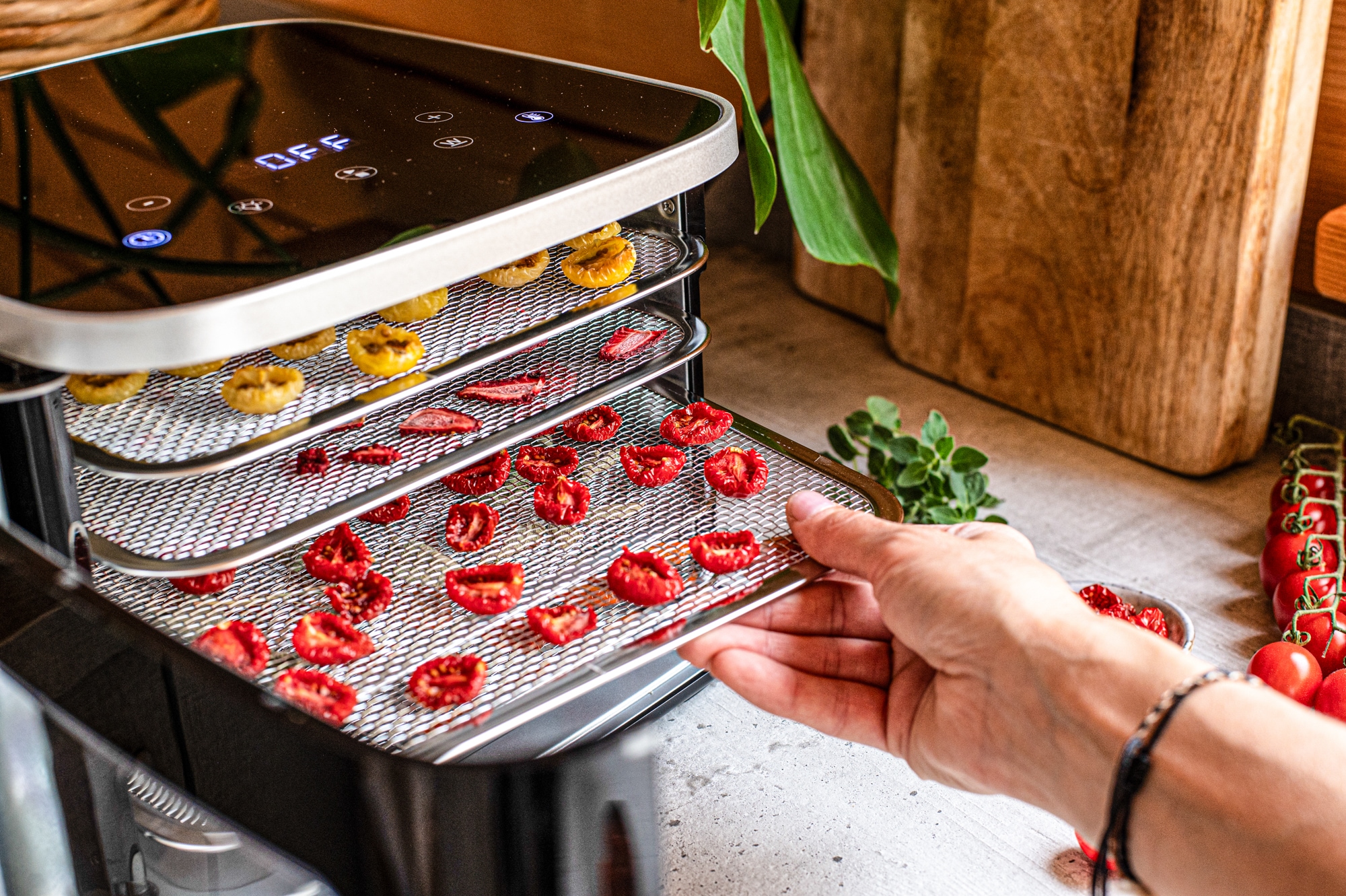 Rommelsbacher Dörrautomat »DA 450« präzise Temperaturregelung von 35-80°C, unbeheizter Betrieb möglich