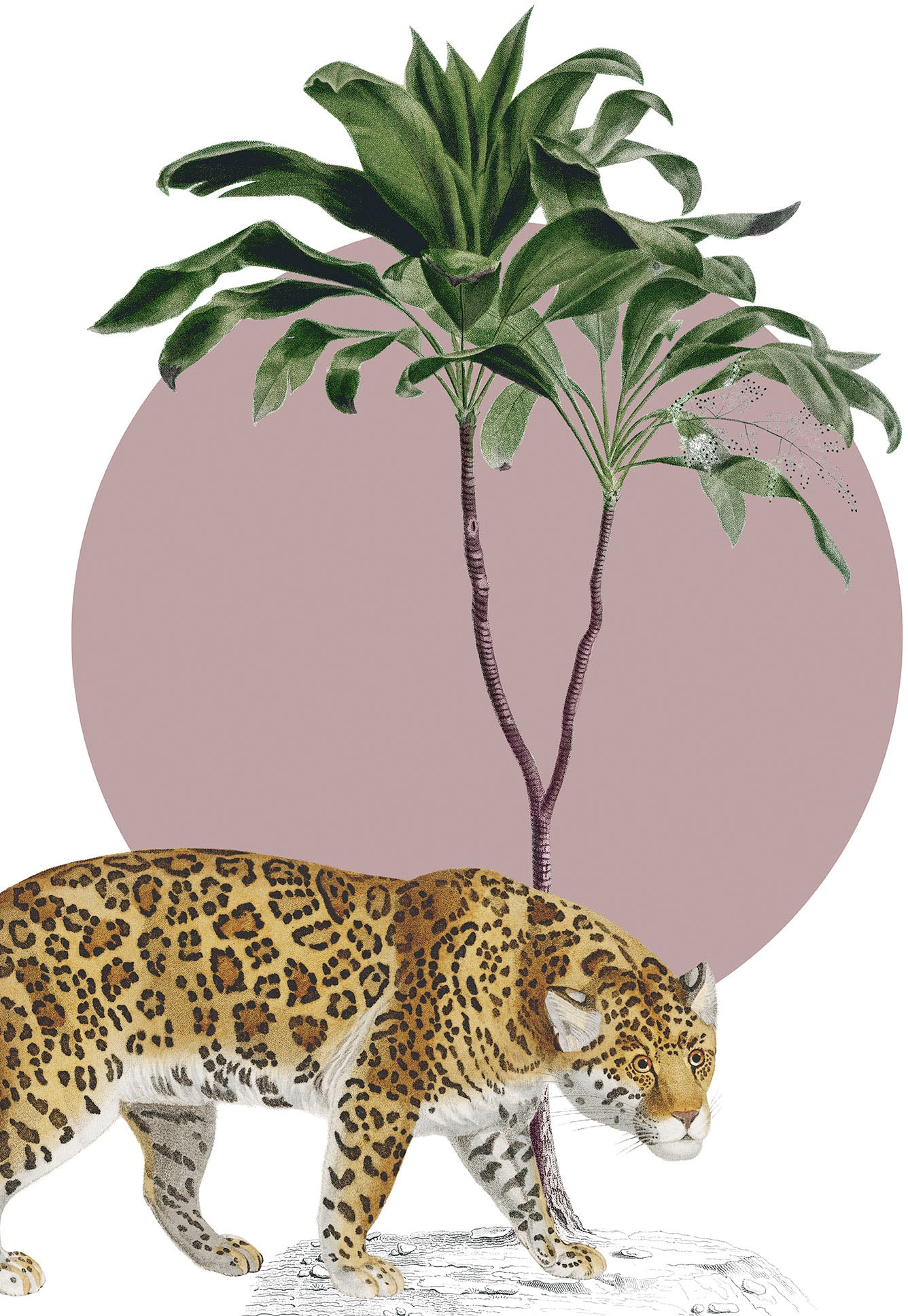 mit seidenmatter Drucke Garden Wandbild hervorragender Premium-Poster Jaguar«, Details »Botanical online Oberfläche (1 Lichtbeständigkeit. Für Fotopapier und St.), scharfen gestochen hoher Farbbrillanz. und Komar Deutsches mit fotorealistische