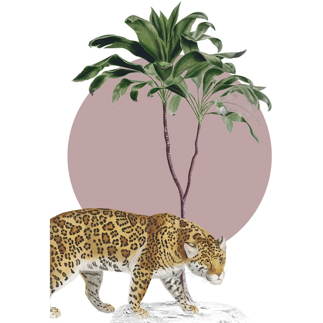 Komar Wandbild »Botanical Garden Jaguar«, (1 St.), Deutsches Premium-Poster  Fotopapier mit seidenmatter Oberfläche und hoher Lichtbeständigkeit. Für  fotorealistische Drucke mit gestochen scharfen Details und hervorragender  Farbbrillanz. online