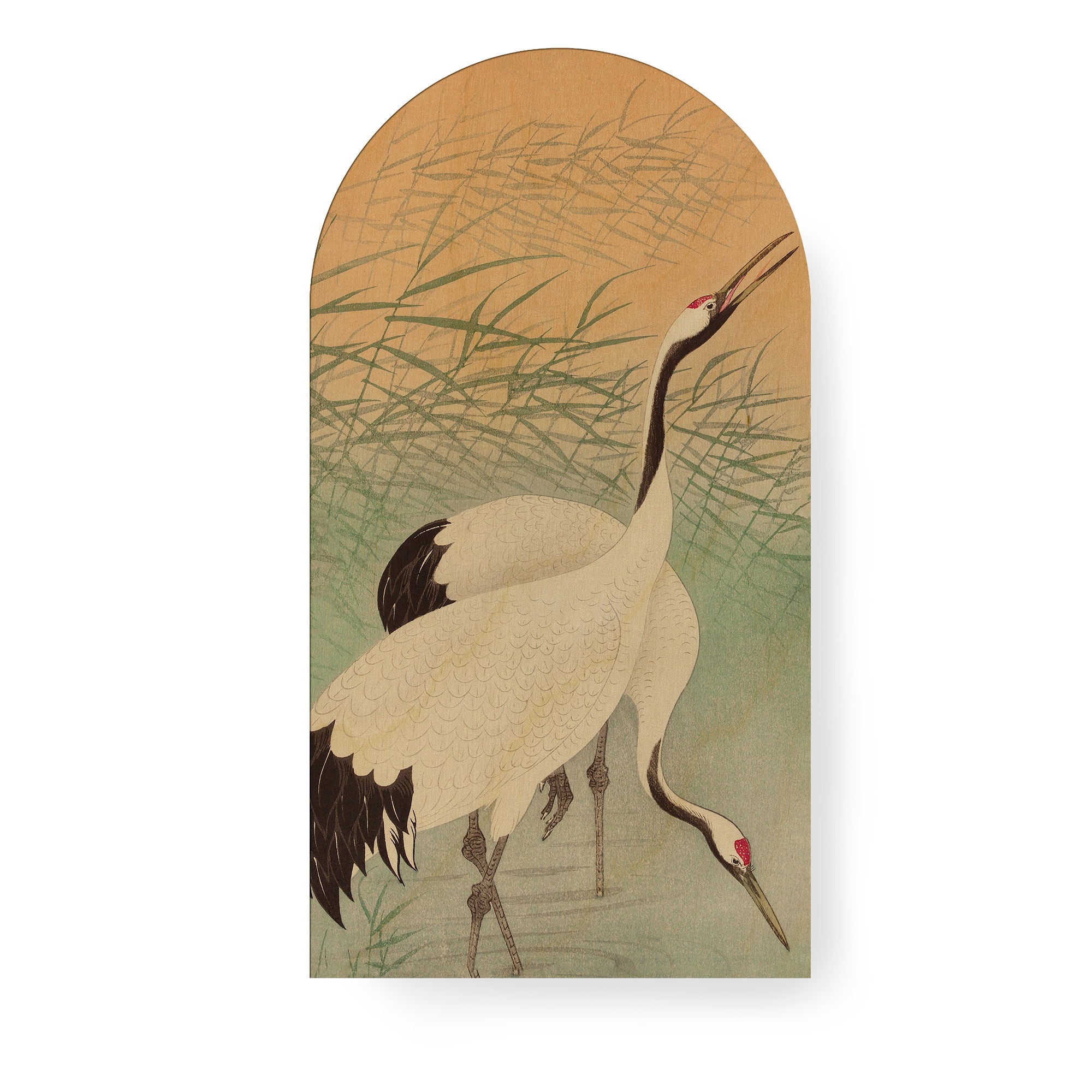 Art for the home Leinwandbild »Kranich«, (1 St.)